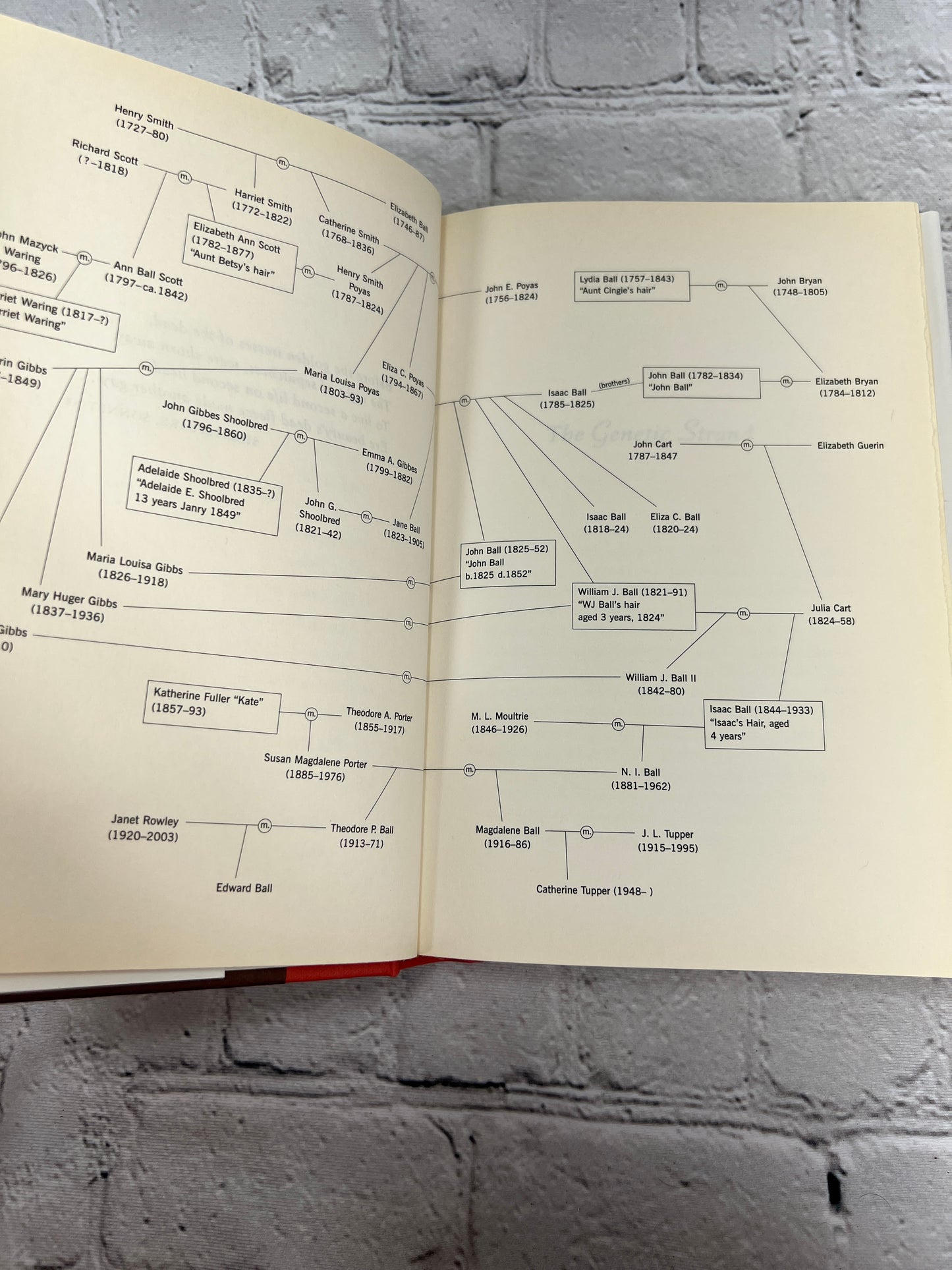 The Genetic Strand: Exploring a Family History Through DNA by Edward Ball [2007]