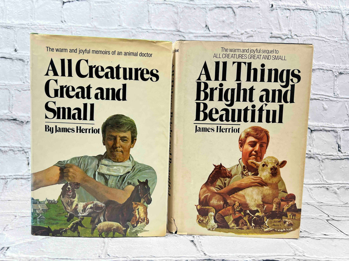 All Creatures Great and Small Series