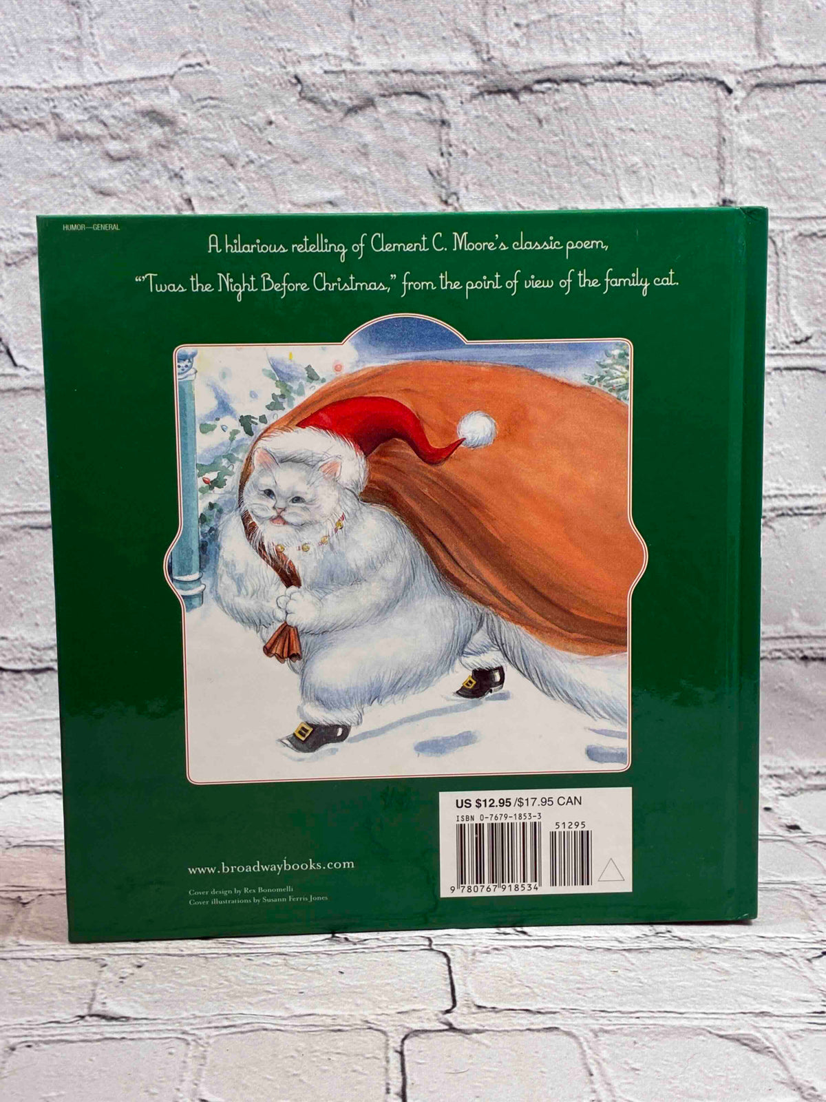 A Cat's Night Before Christmas