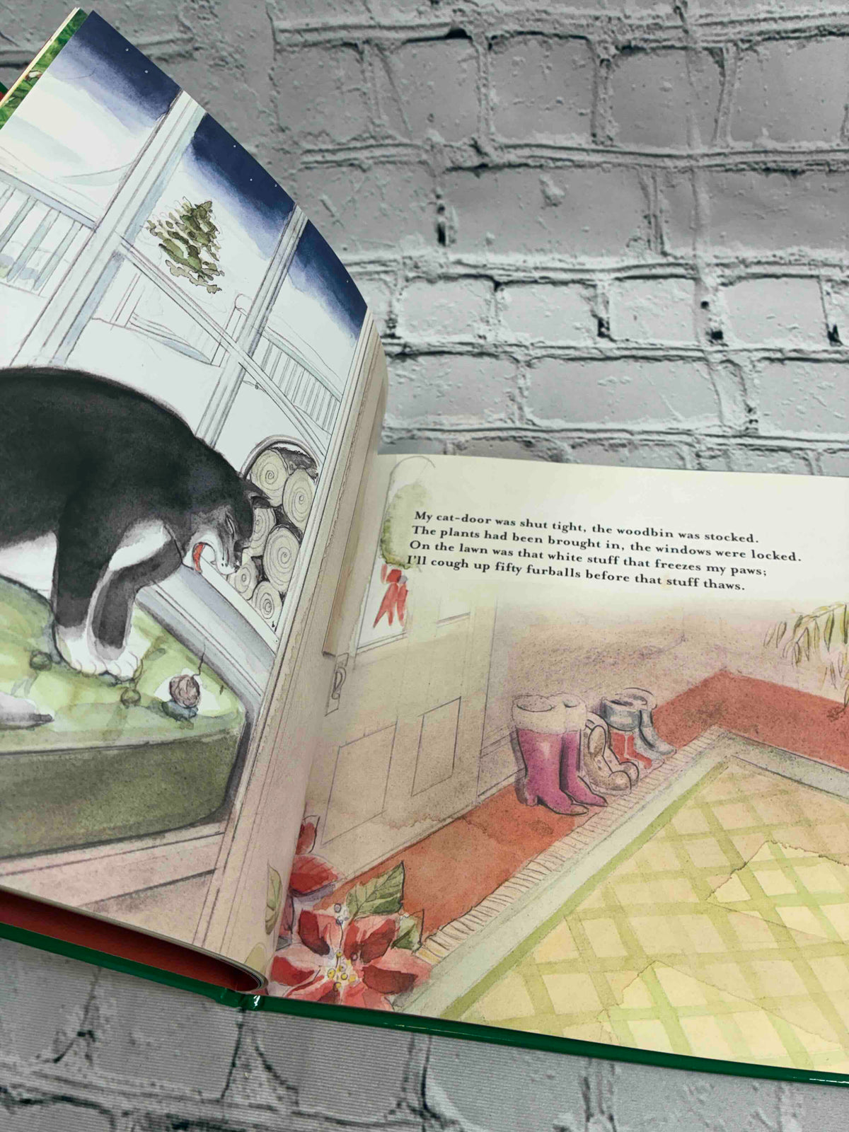 A Cat's Night Before Christmas