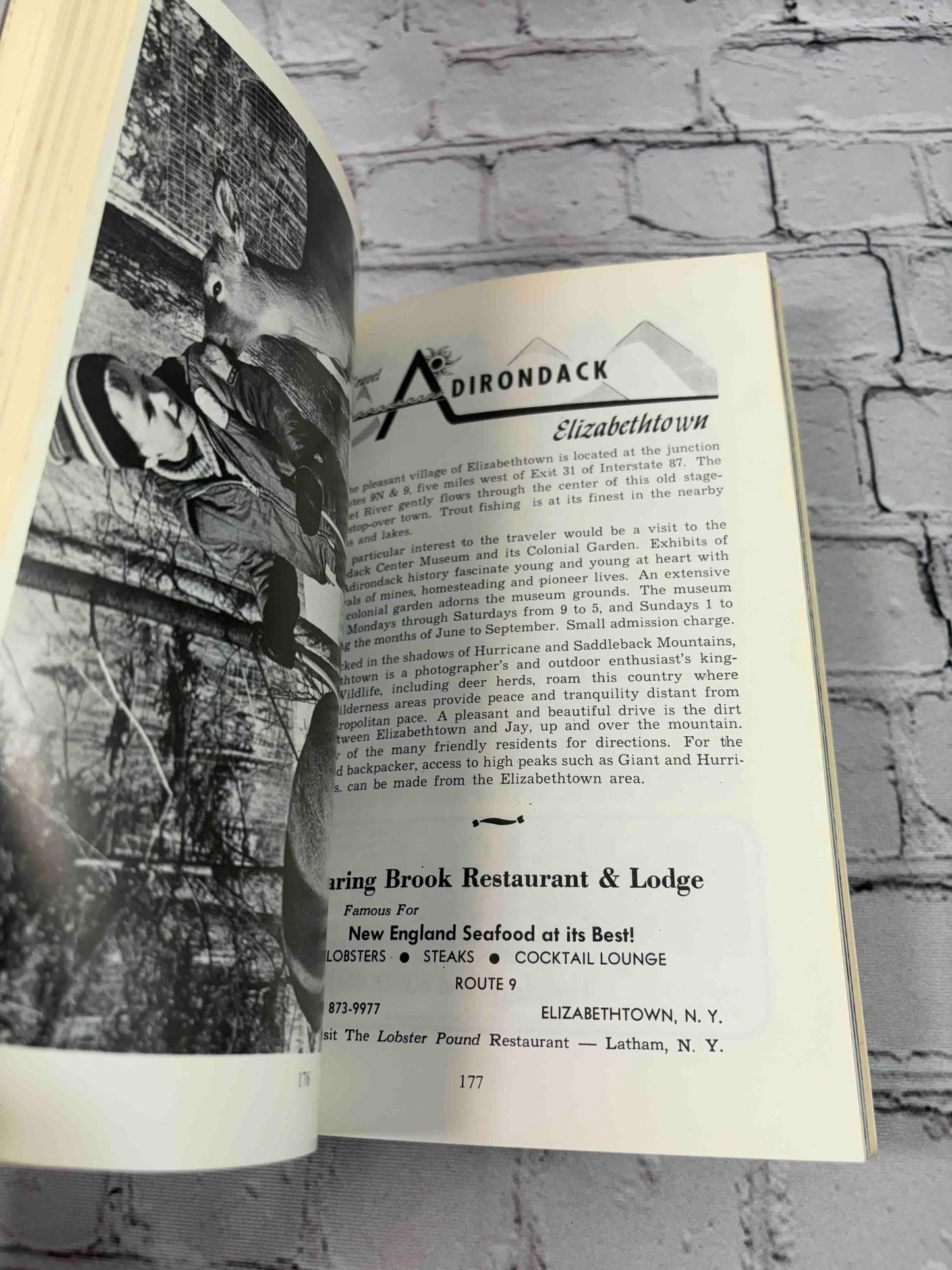 Adirondack & Northway Travel Guide
