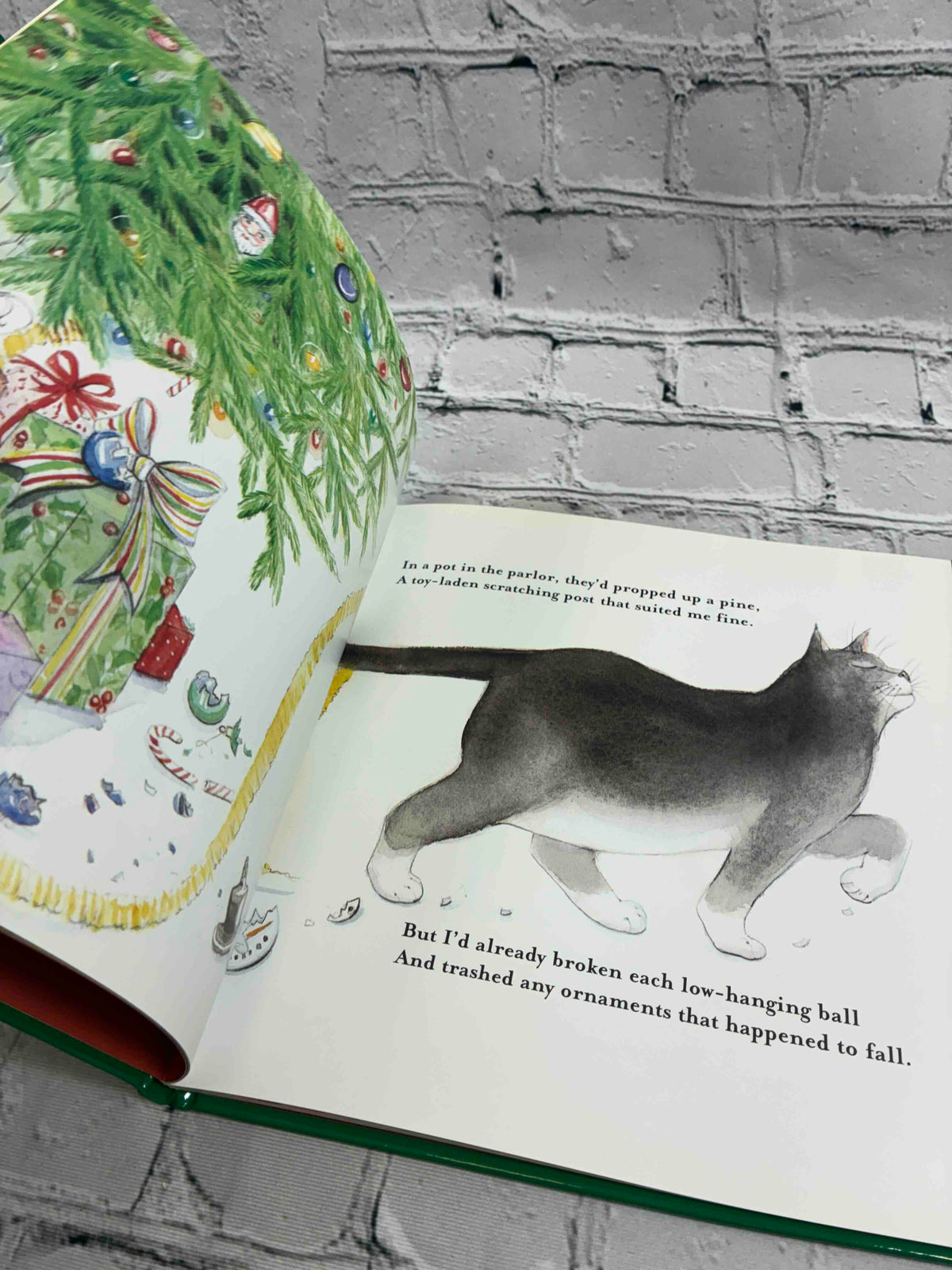 A Cat's Night Before Christmas