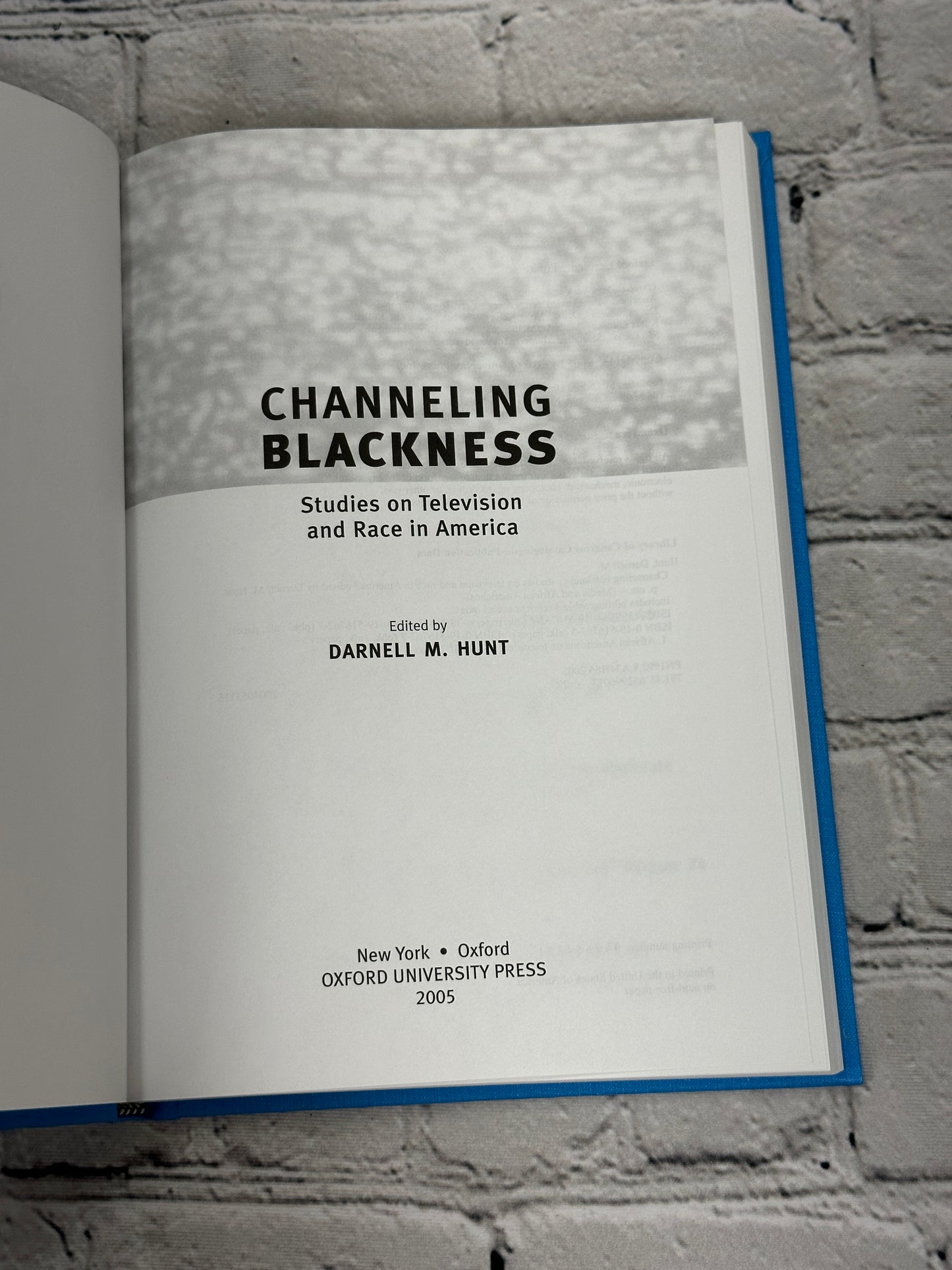 Channeling Blackness: Studies on Television and Race in.. by Darnell Hunt [2005]