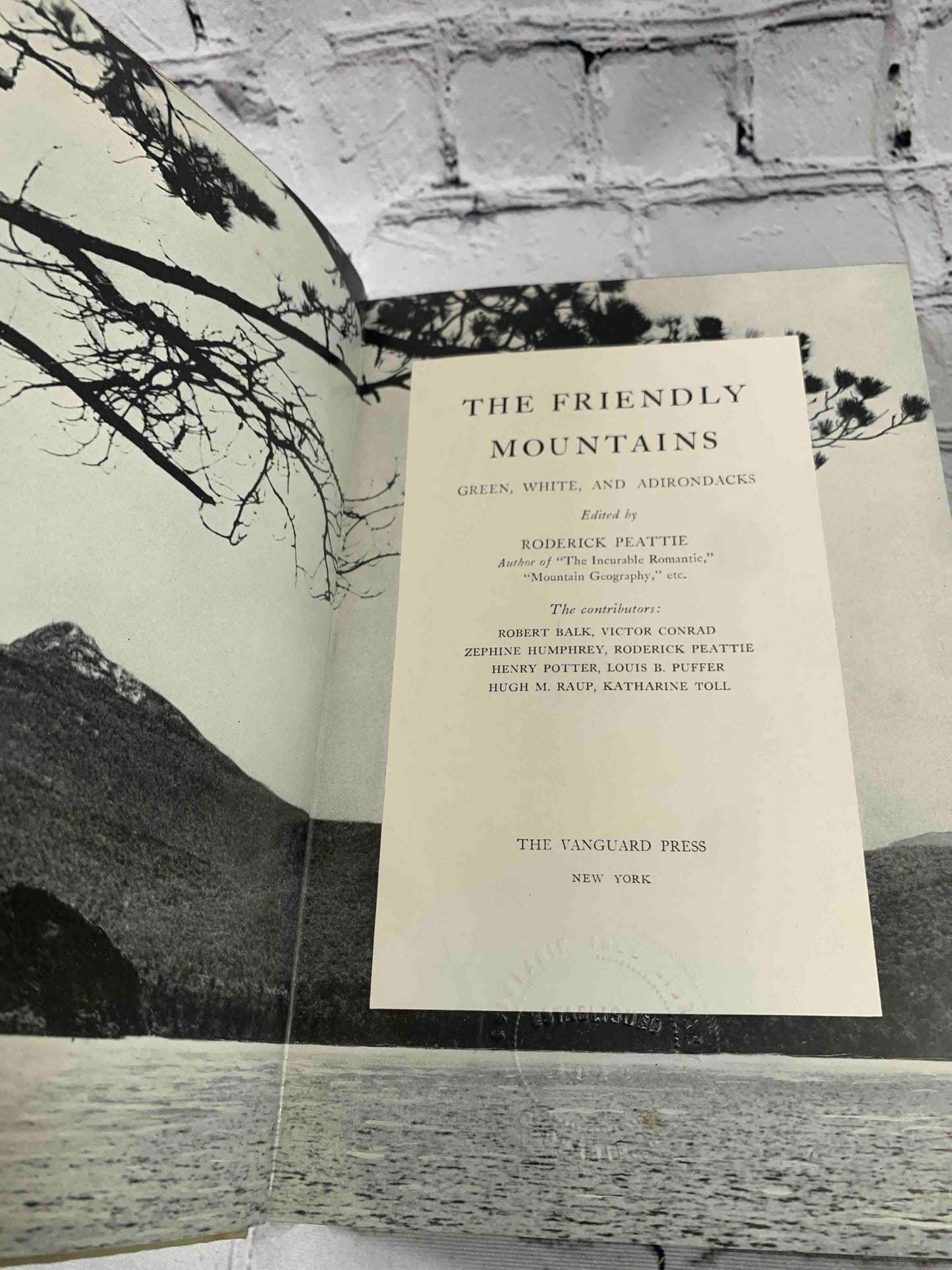 The Friendly Mountains