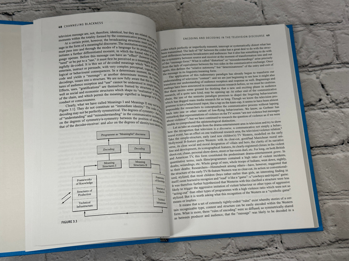 Channeling Blackness: Studies on Television and Race in.. by Darnell Hunt [2005]