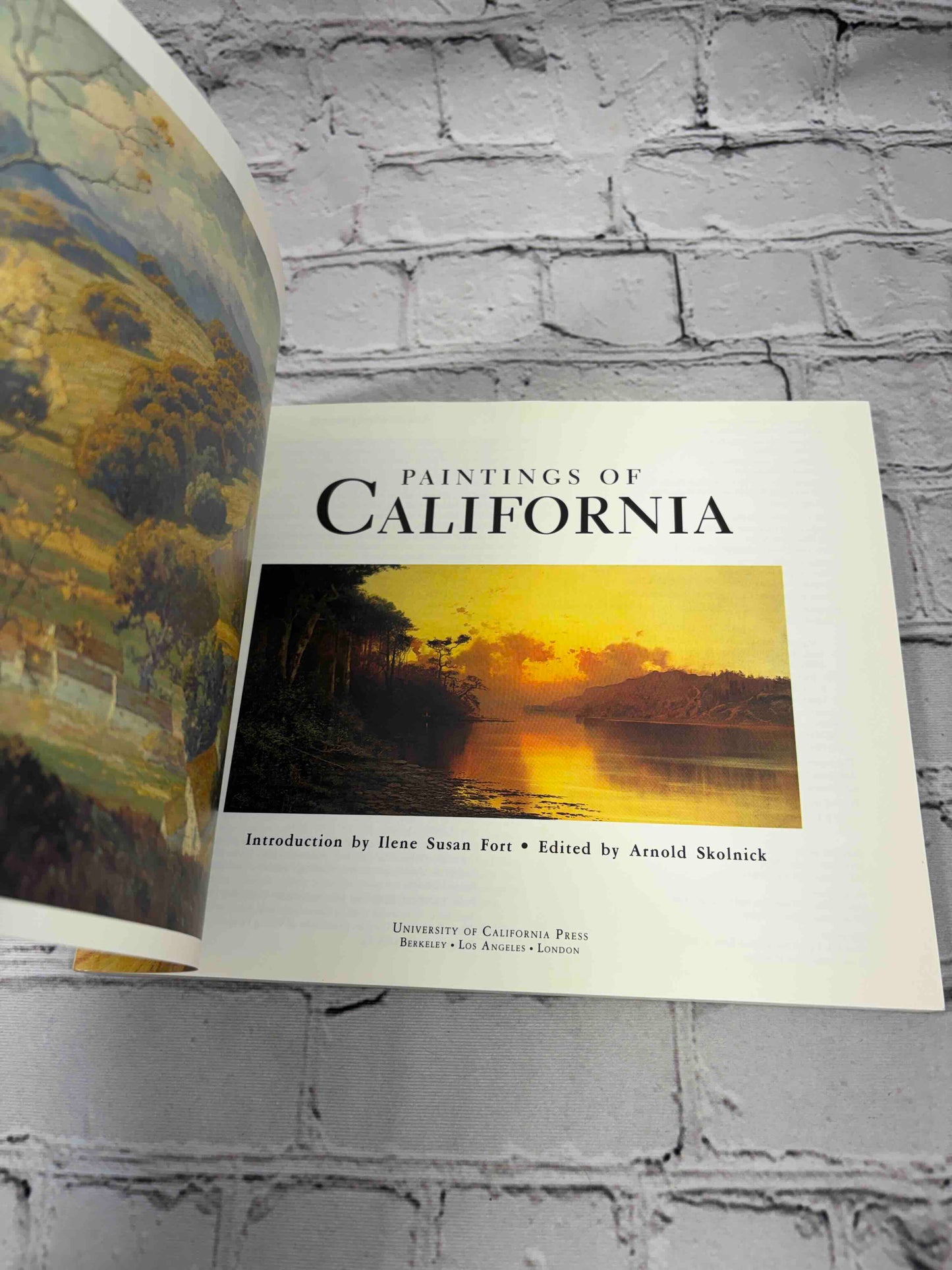Paintings of California