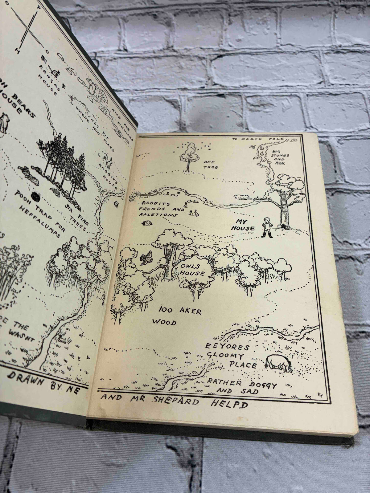 Winnie-the-Pooh