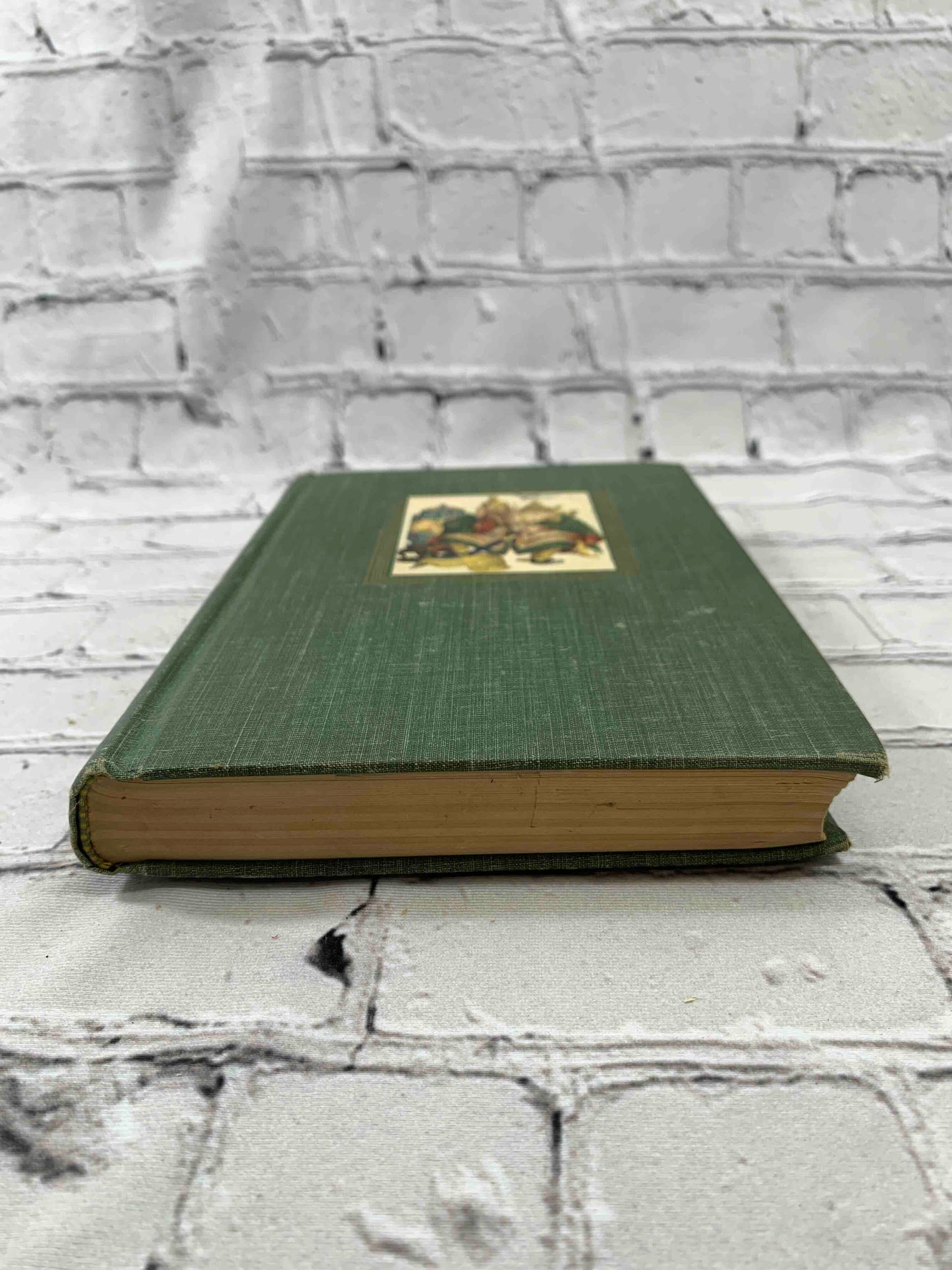 Andersen's Fairy Tales