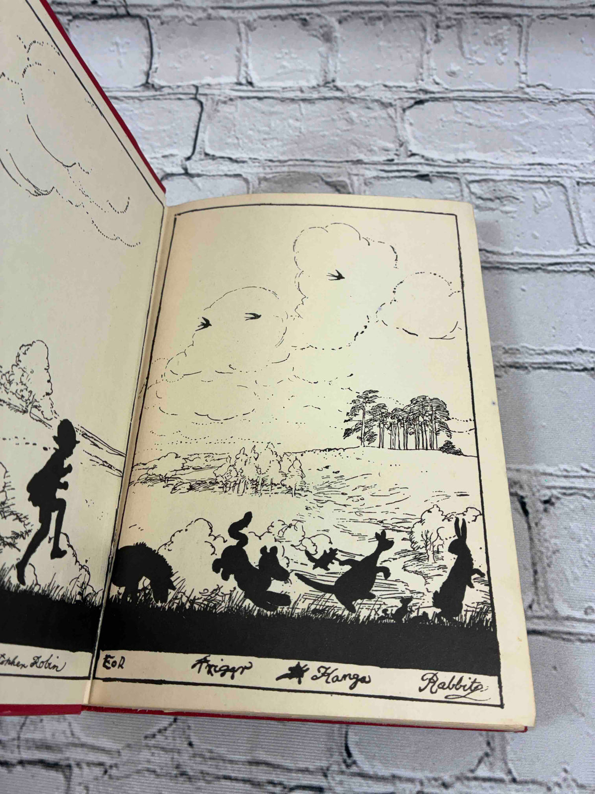The House at Pooh Corner