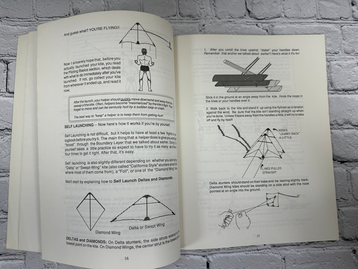 Stunt Kites: Complete Flight Manual of Maneuverable Kites by David Gomberg [1988]