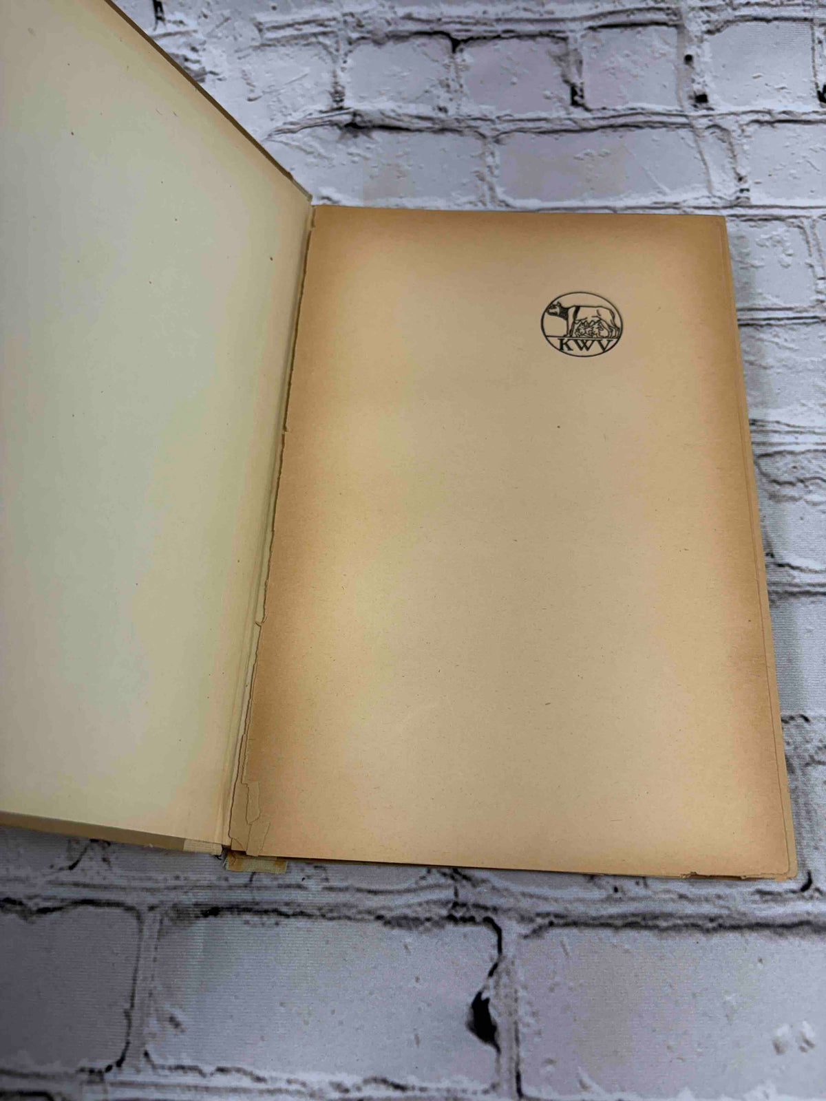 Vom Geist des Judentums by Martin Buber, 1916 hardcover - half-title with Kurt Wolff Verlag device