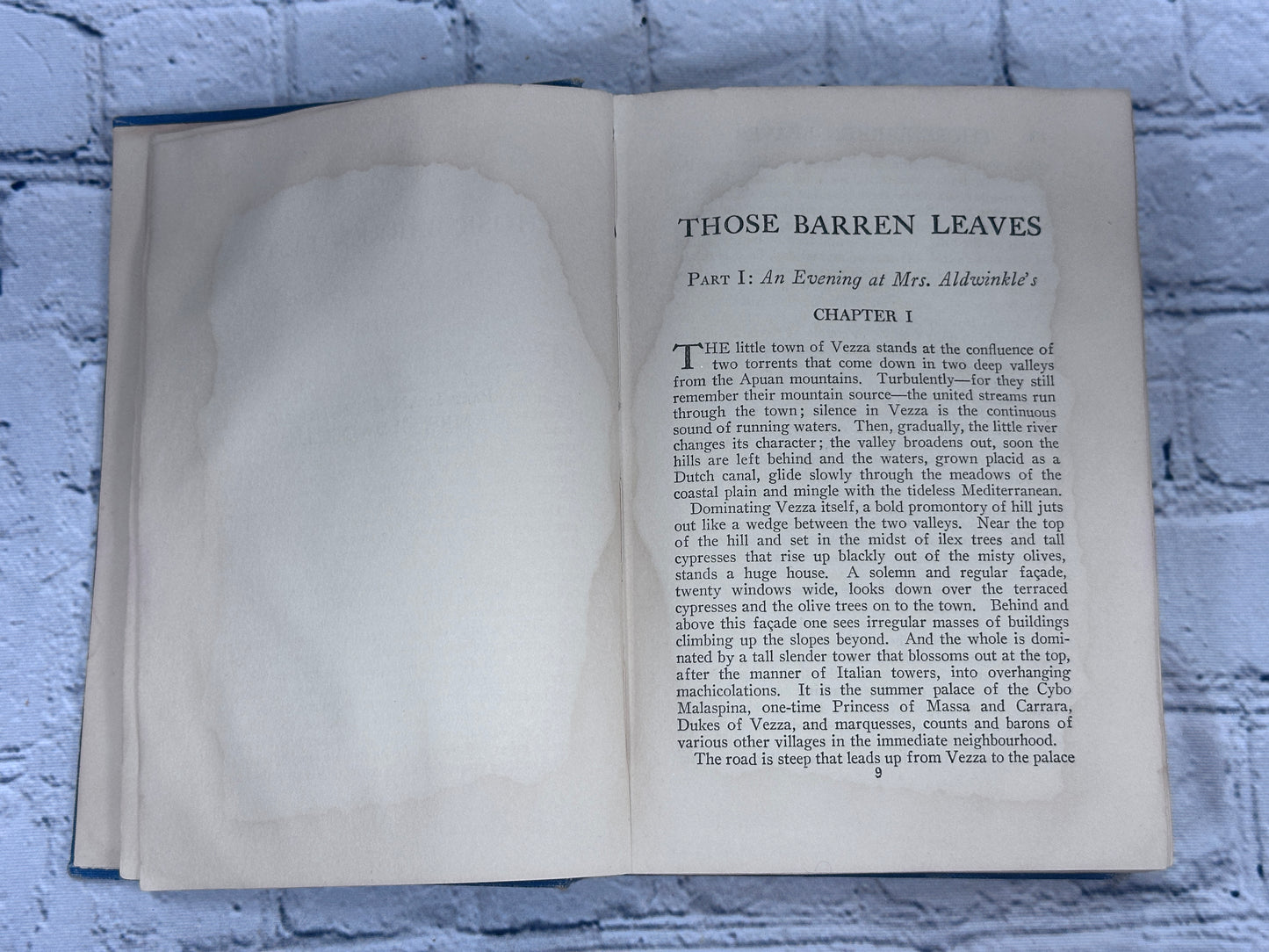 Those Barren Leaves by Aldous Huxley [1925]