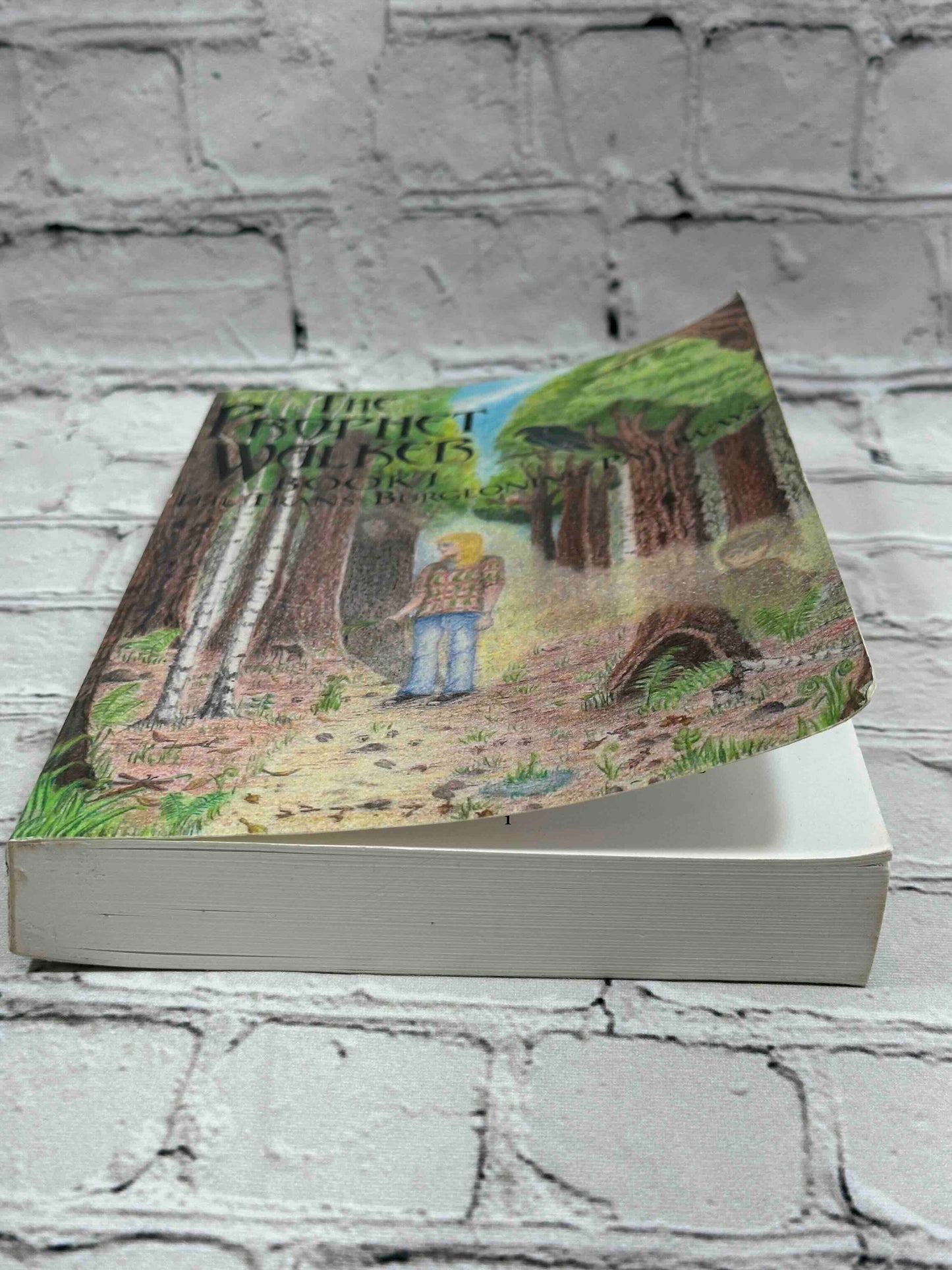 The Prophet Walker: The Trans-Burgeoning Pathways (Book 1)