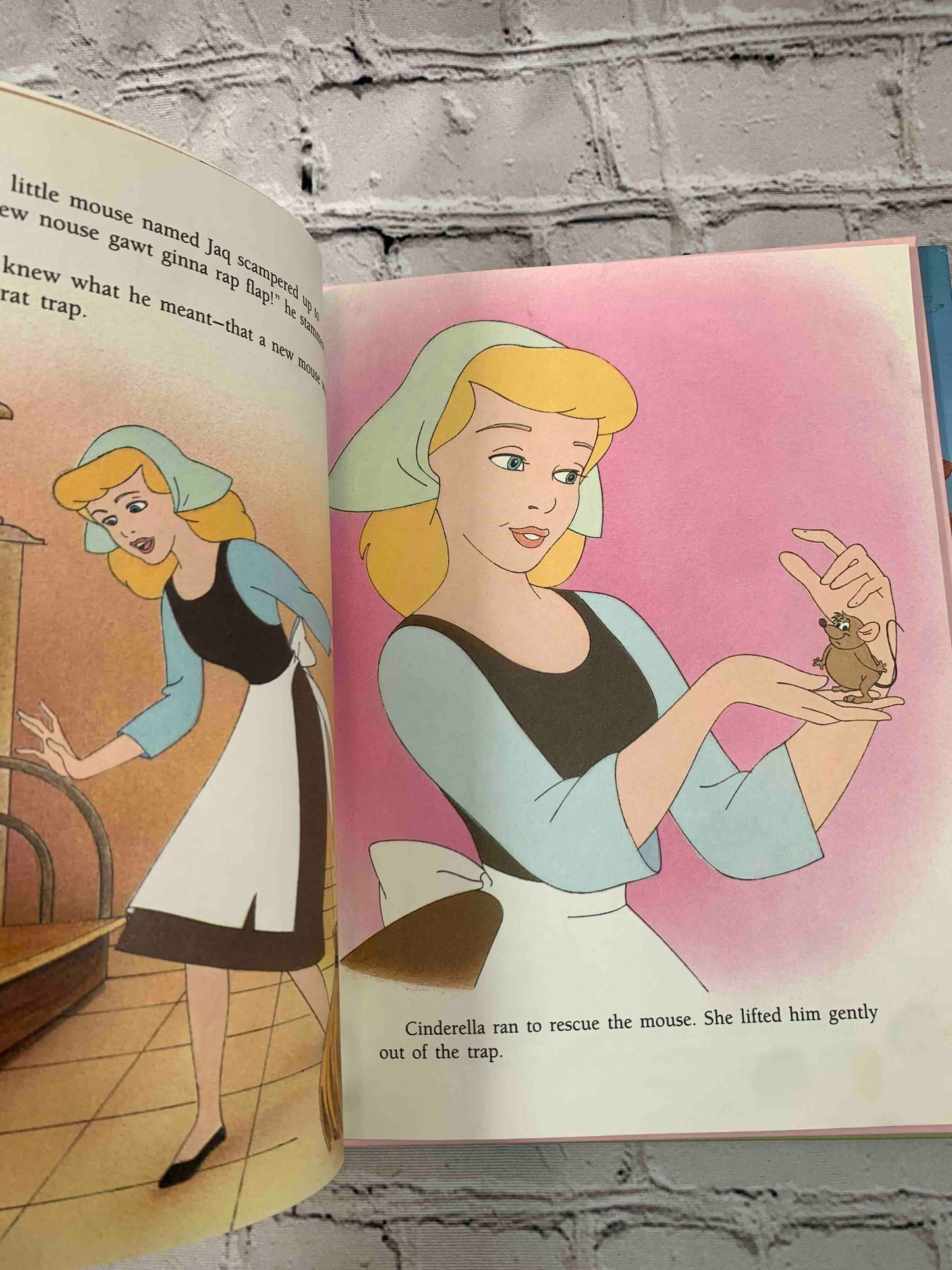 Cinderella and Her Animal Friends: A Book About Kindness