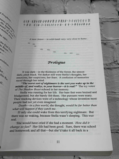 The Prophet Walker: The Trans-Burgeoning Pathways (Book 1)