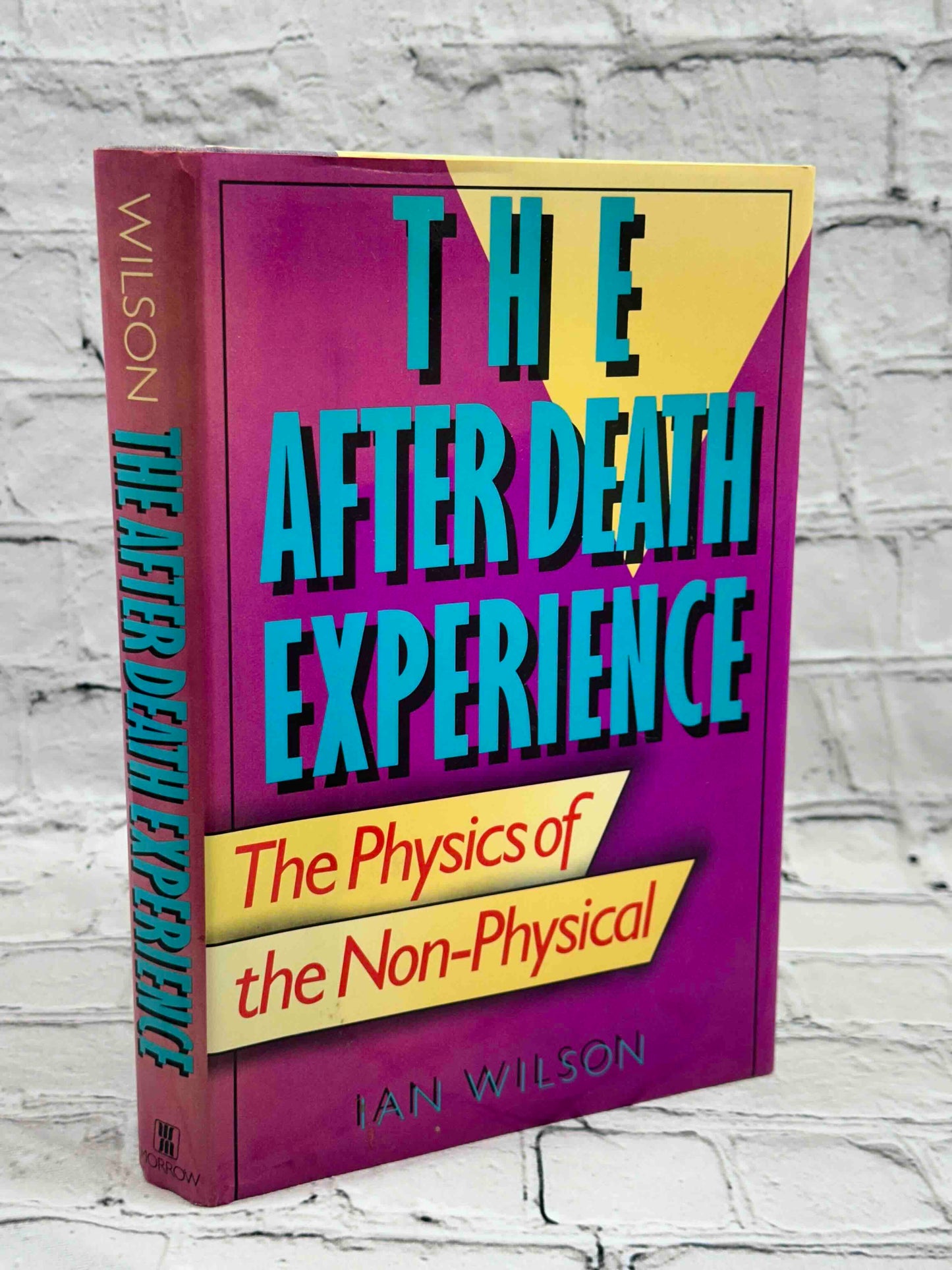 The After Death Experience: The Physics of the Non-Physical