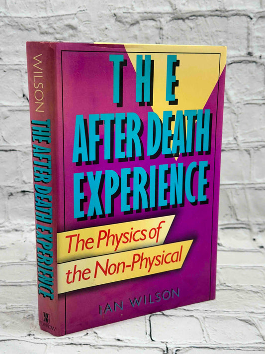 The After Death Experience: The Physics of the Non-Physical