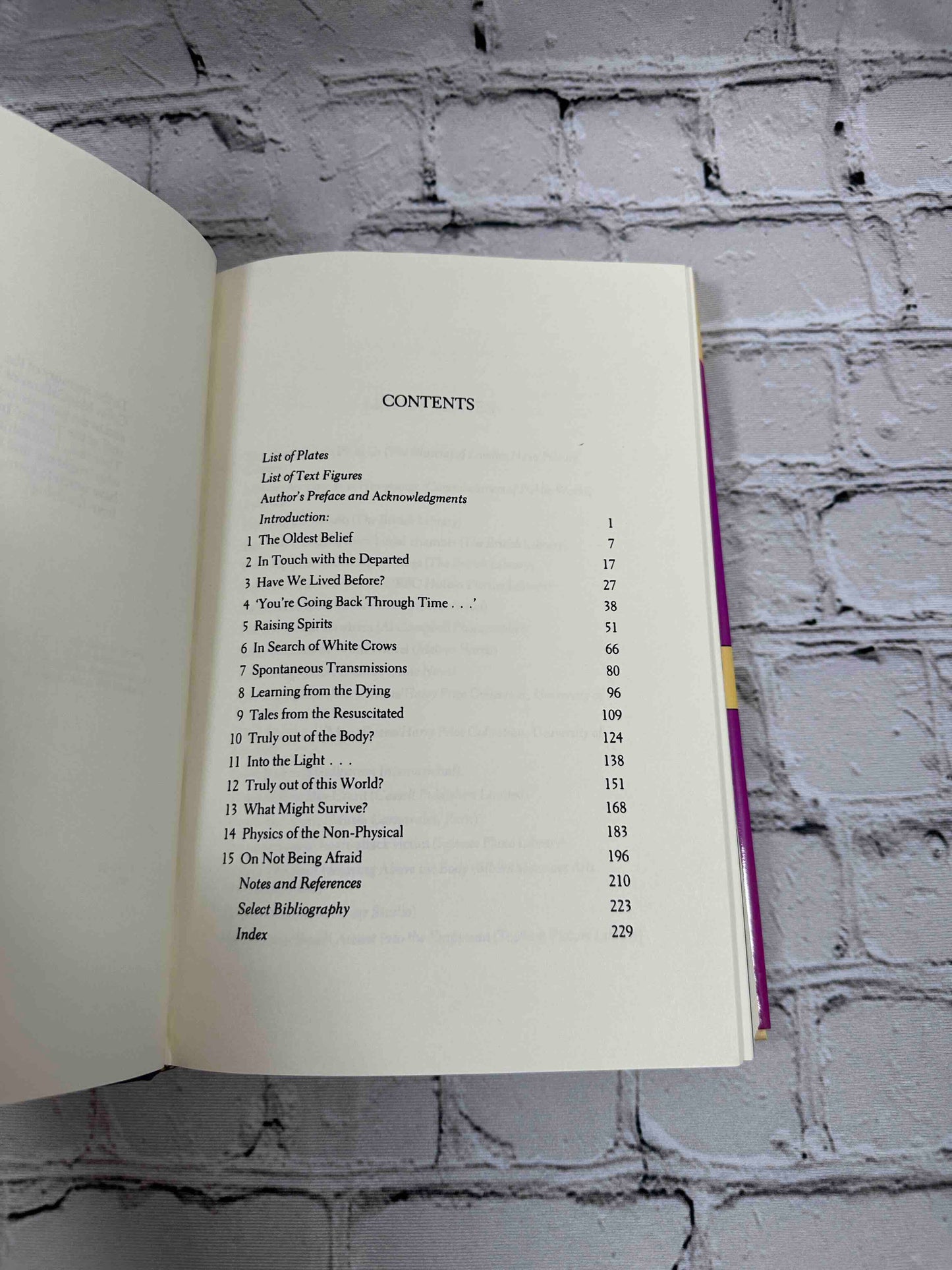 The After Death Experience: The Physics of the Non-Physical