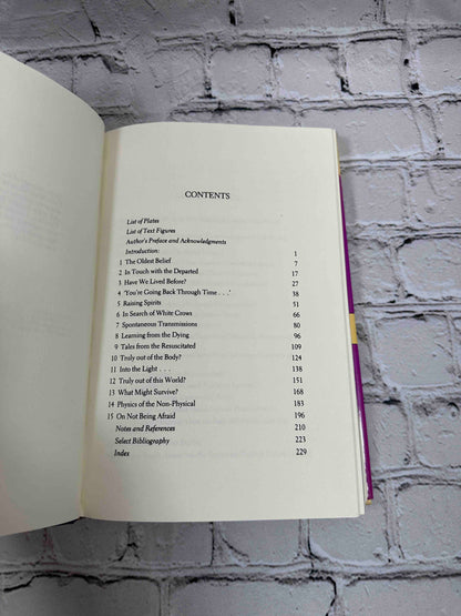 The After Death Experience: The Physics of the Non-Physical