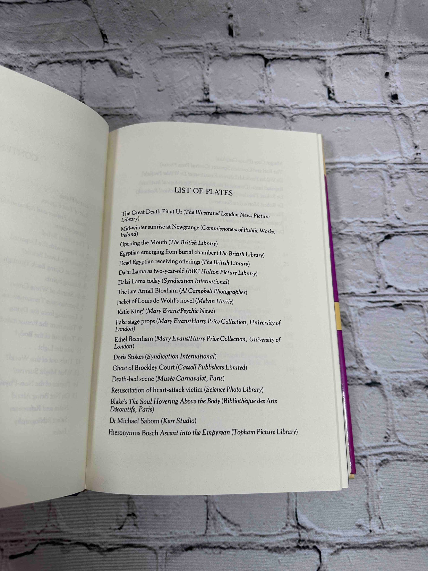 The After Death Experience: The Physics of the Non-Physical