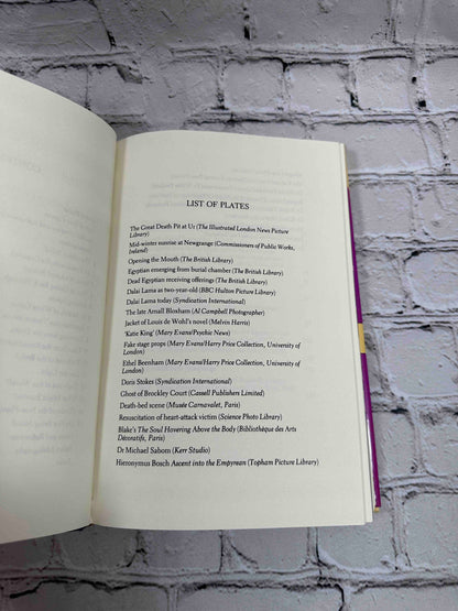 The After Death Experience: The Physics of the Non-Physical