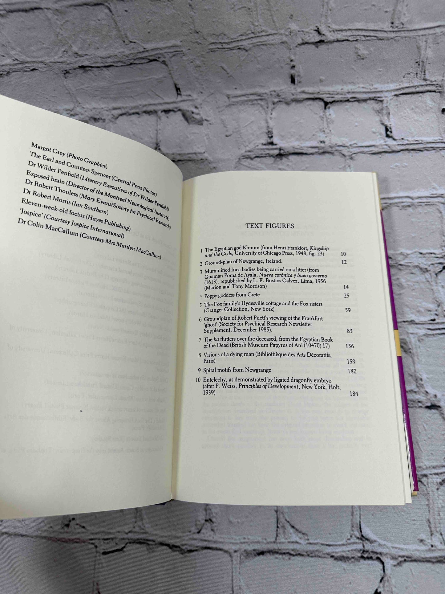 The After Death Experience: The Physics of the Non-Physical