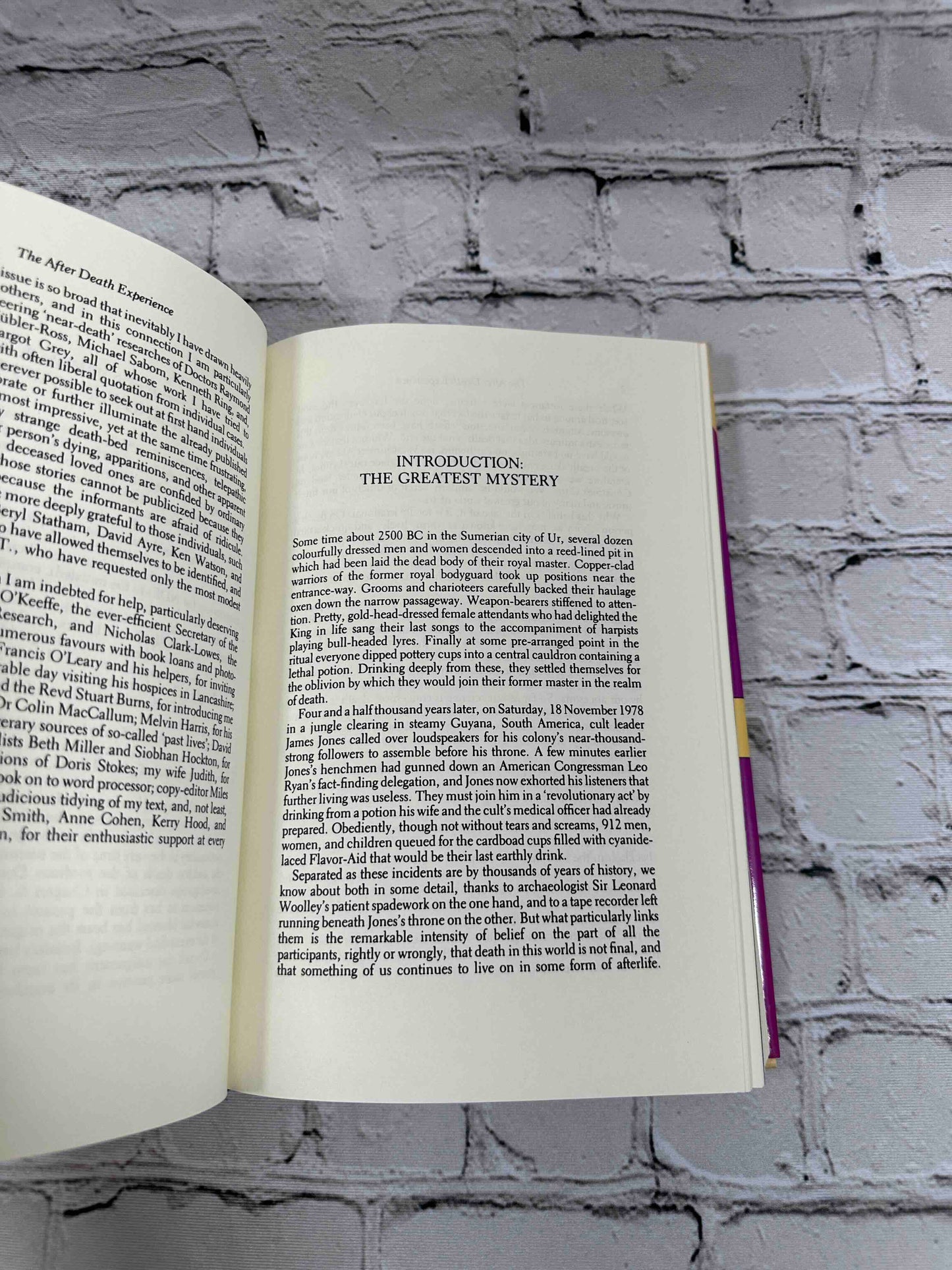 The After Death Experience: The Physics of the Non-Physical