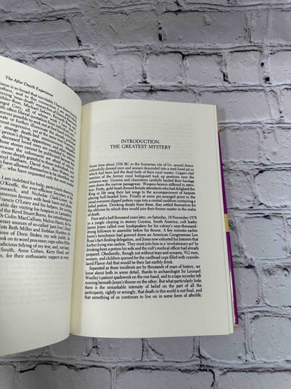 The After Death Experience: The Physics of the Non-Physical