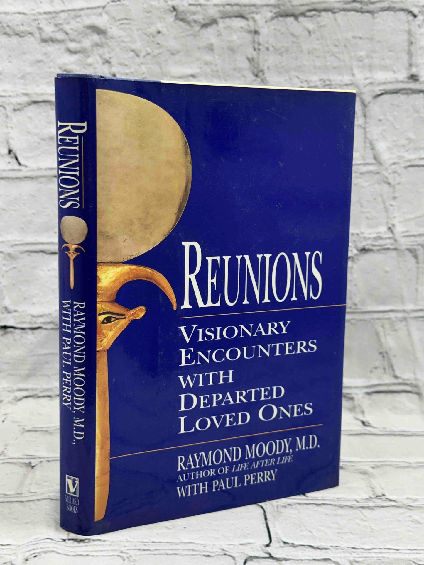 Reunions: Visionary Encounters with Departed Loved Ones