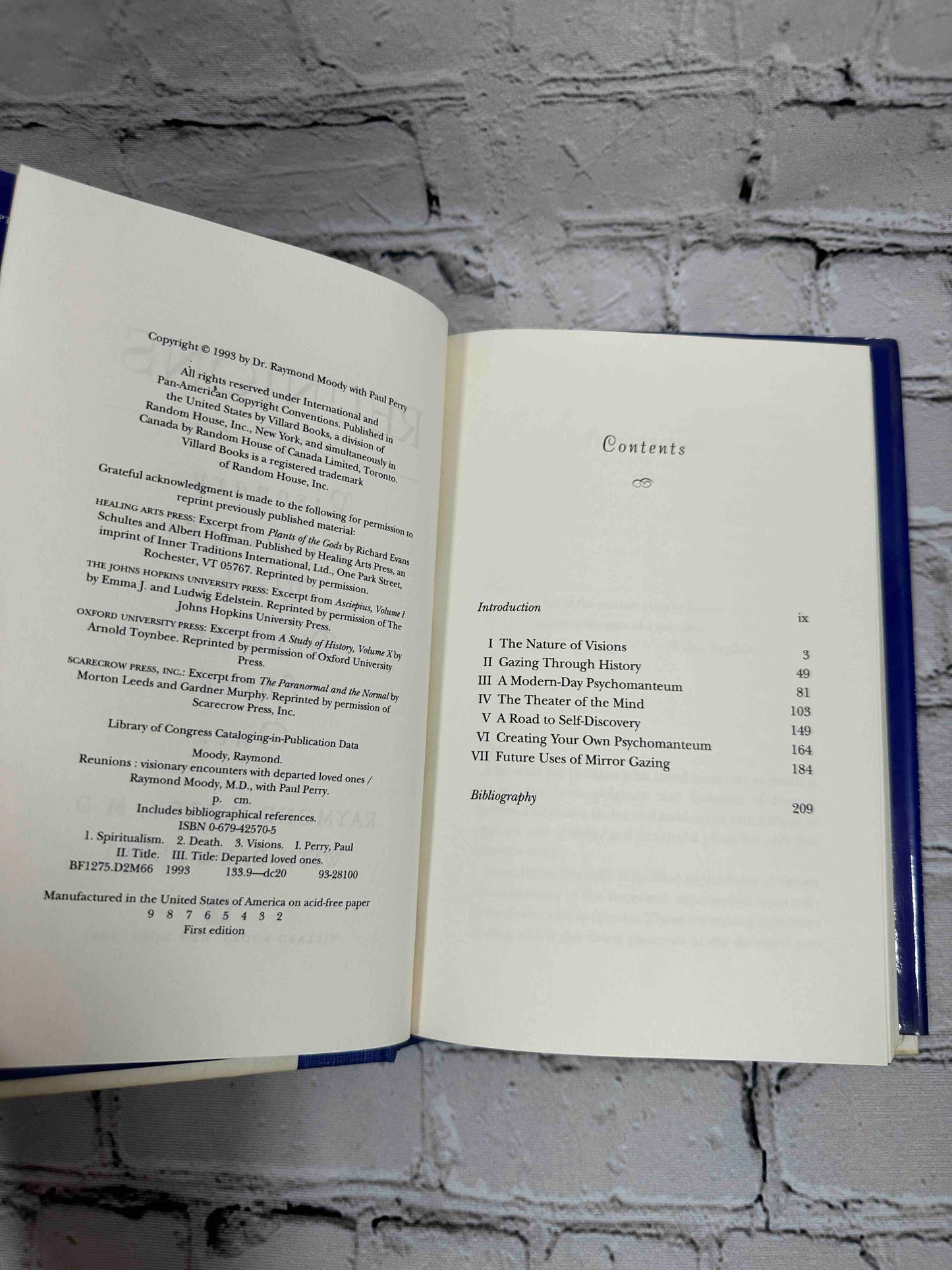 Reunions: Visionary Encounters with Departed Loved Ones