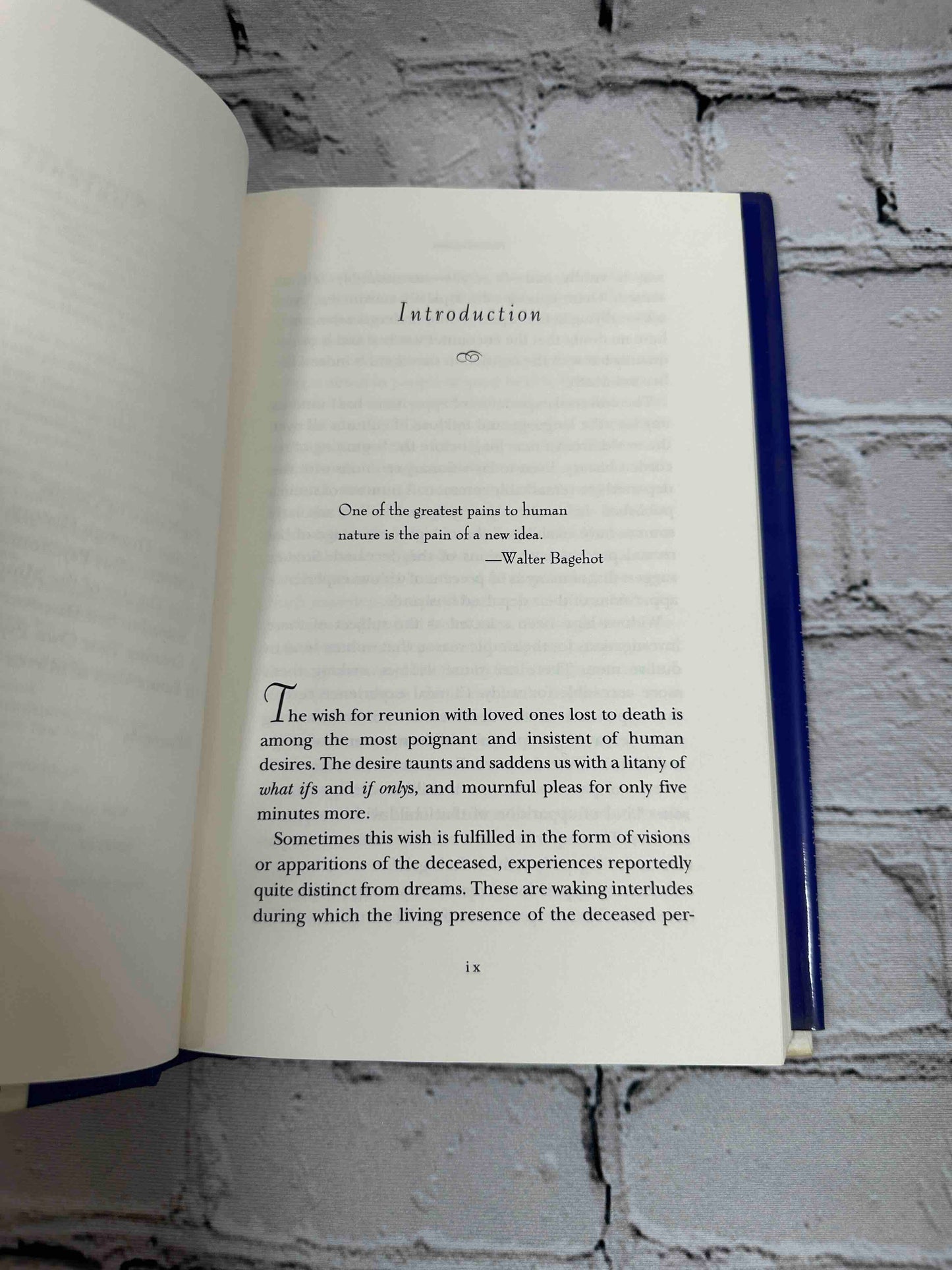 Reunions: Visionary Encounters with Departed Loved Ones