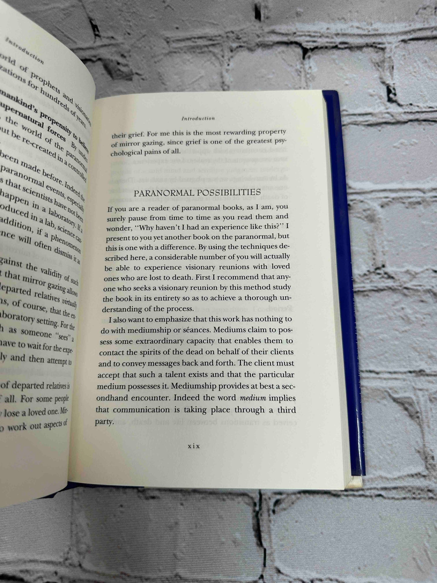 Reunions: Visionary Encounters with Departed Loved Ones