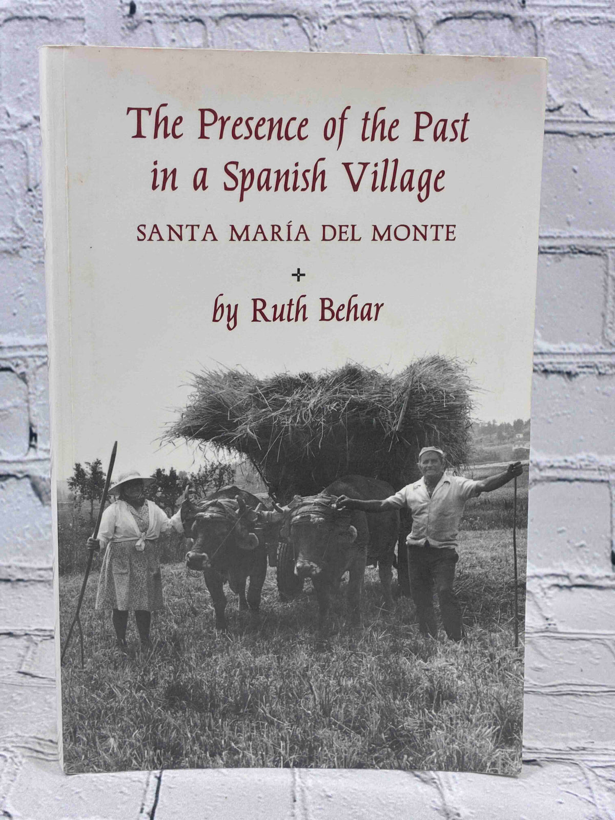 The Presence of the Past in a Spanish Village by Ruth Behar, Princeton University Press Paperback - front cover