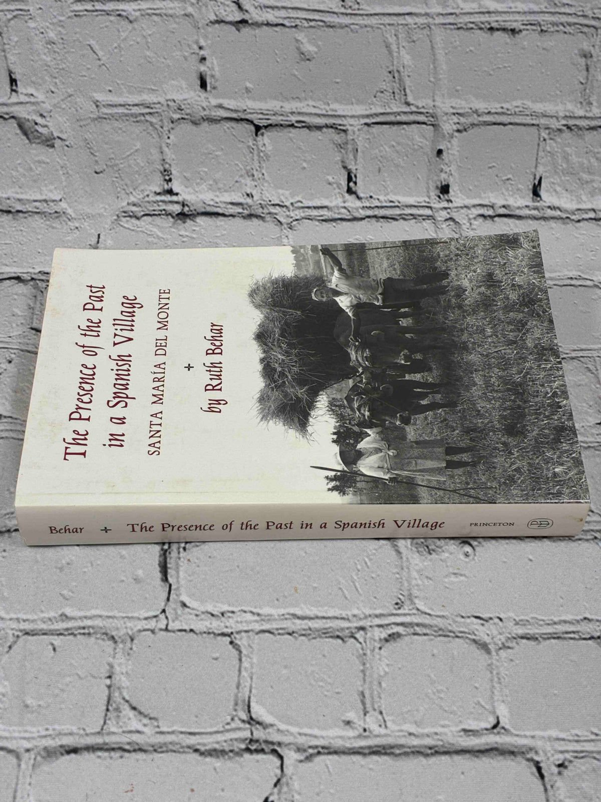 The Presence of the Past in a Spanish Village by Ruth Behar, Princeton University Press Paperback - spine