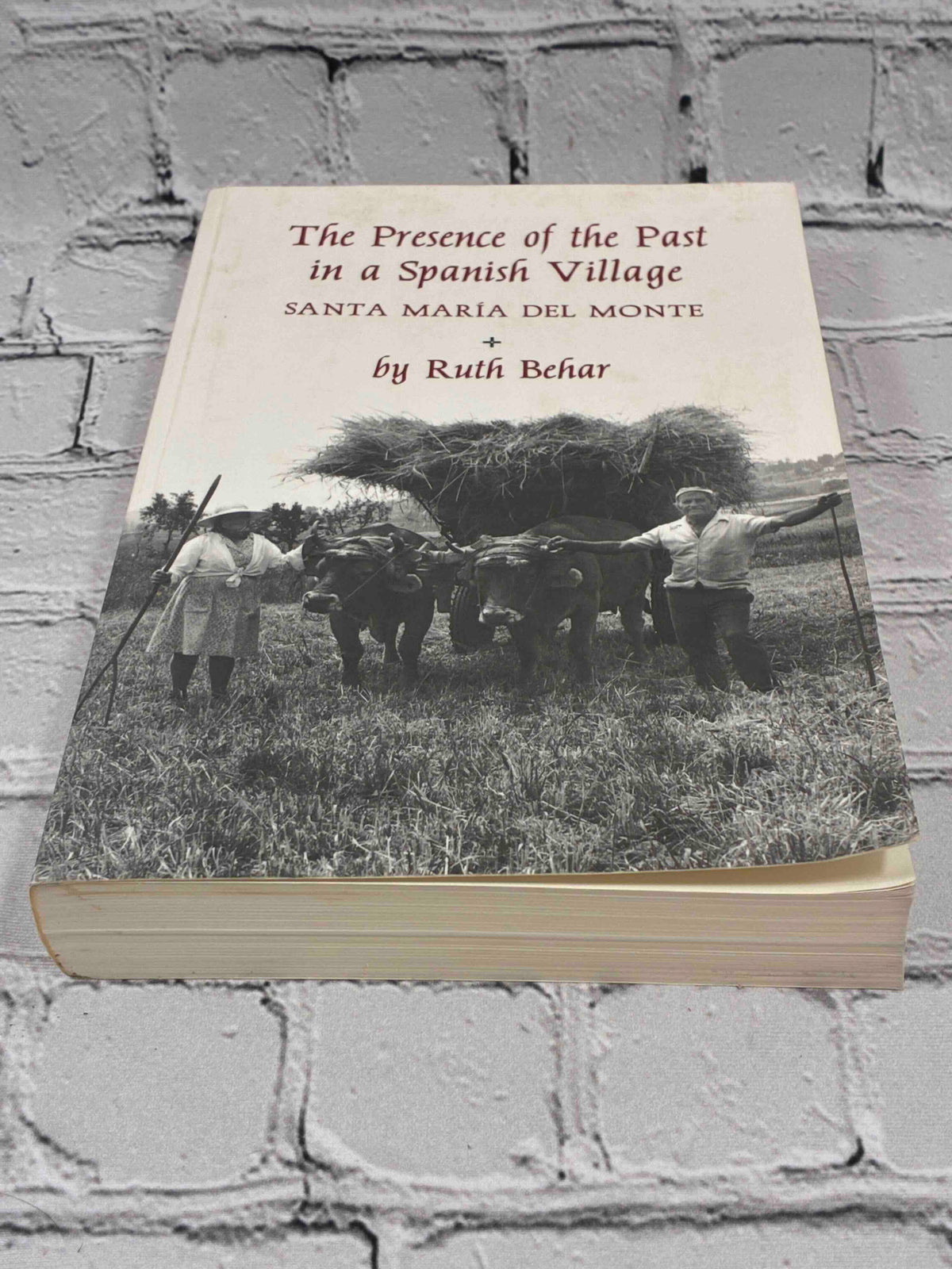 The Presence of the Past in a Spanish Village by Ruth Behar, Princeton University Press Paperback - front cover and page edges