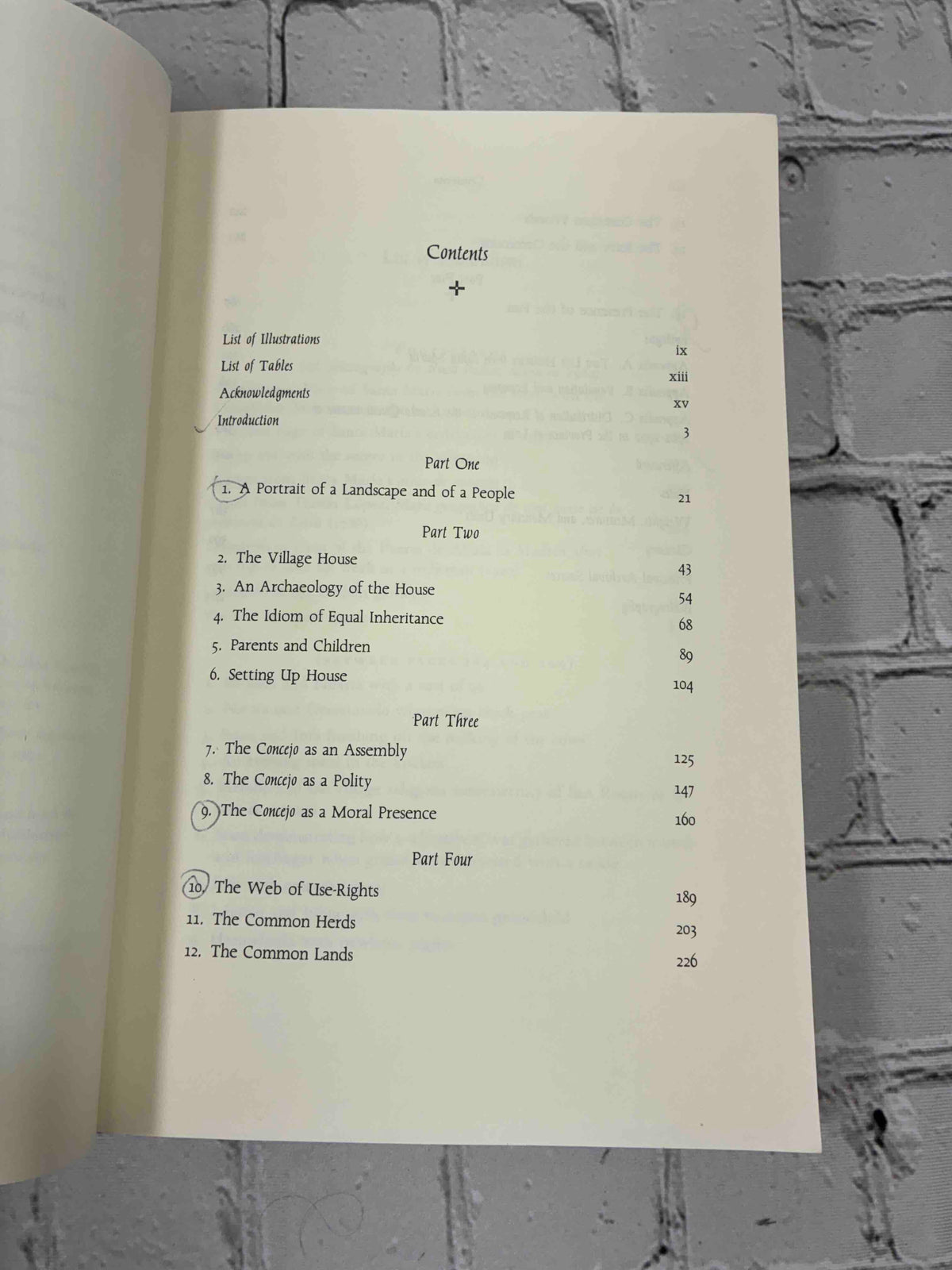 The Presence of the Past in a Spanish Village by Ruth Behar, Princeton University Press Paperback - contents page with pen marks