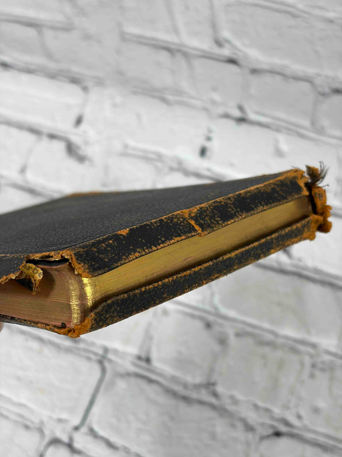 Holy Bible, Oxford University Press leather - worn spine head and gilt edges