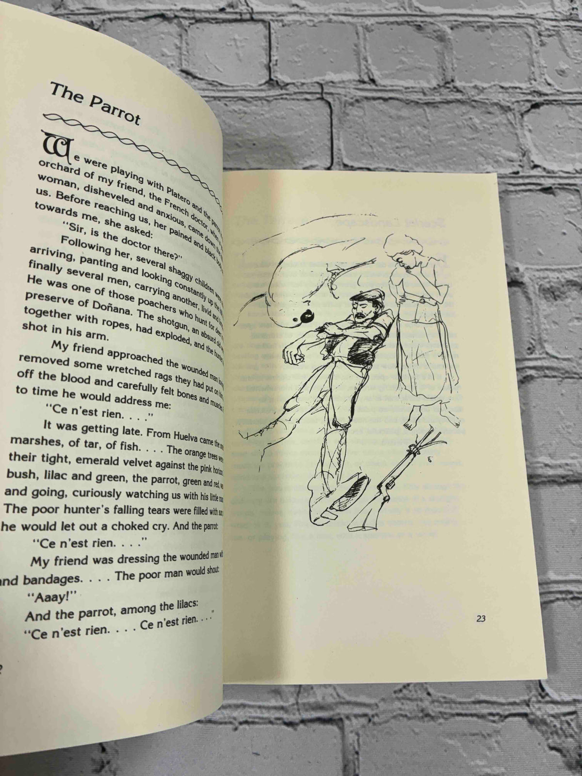 Platero and I by Juan Ramon Jimenez, 1986 Paragon House Paperback - sample page, The Parrot, with illustration