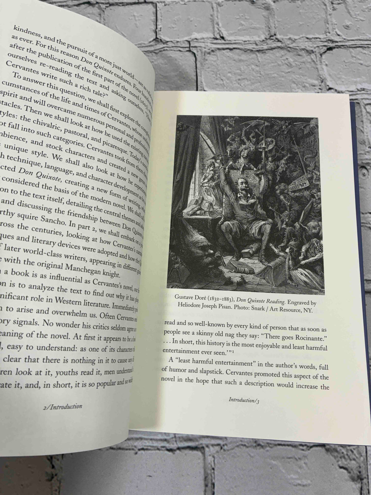 Fighting Windmills: Encounters with Don Quixote by Manuel Duran and Fay R. Rogg, 2006 Yale University Press Hardcover - Gustave Dore engraving Don Quixote Reading