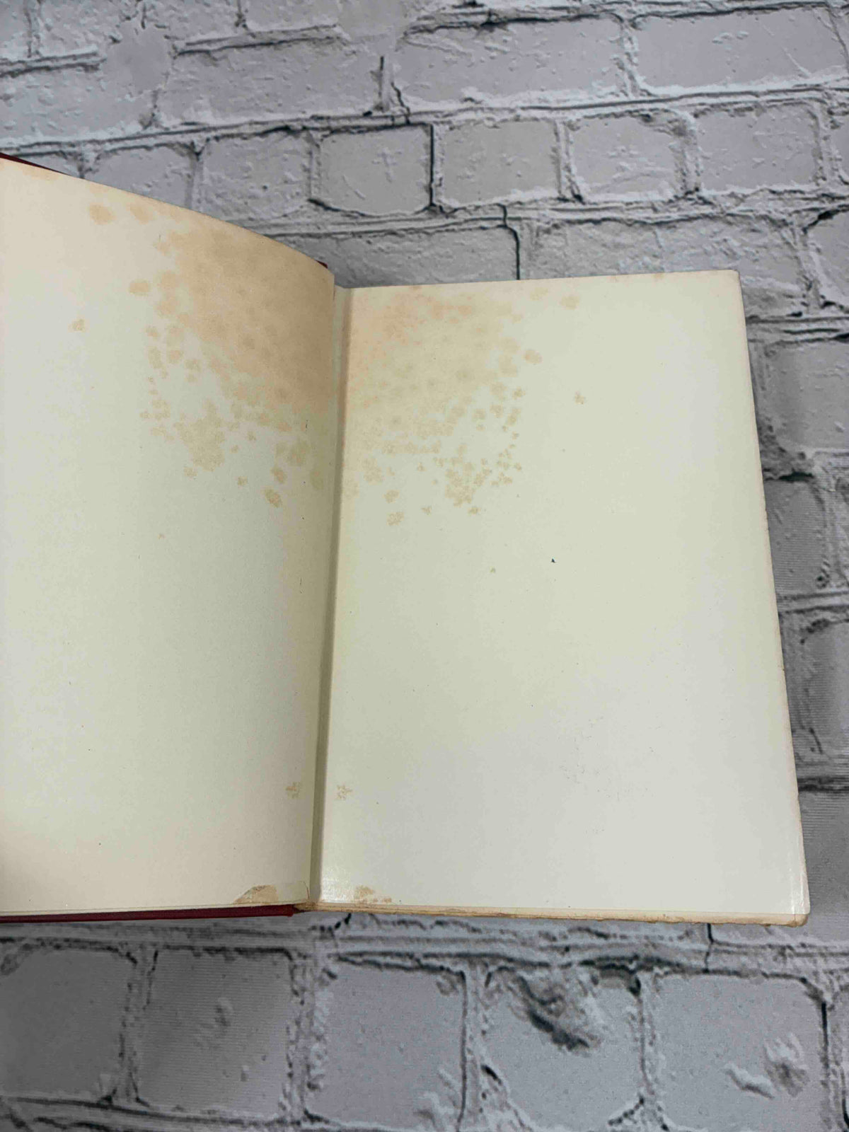 The Lion and the Unicorn by Richard Harding Davis, 1906 Scribner's hardcover - foxing on front endpapers