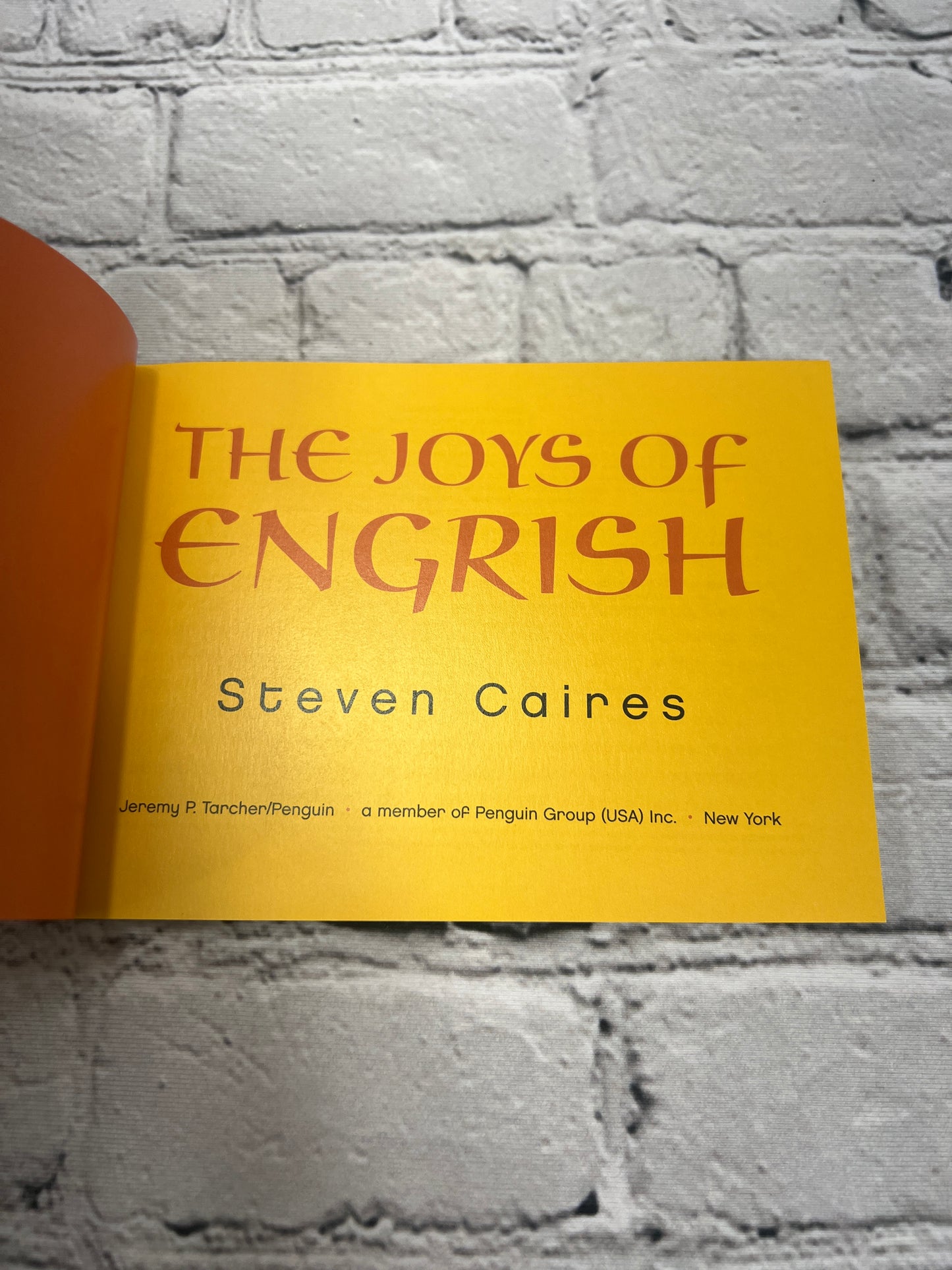 The Joys of Engrish by Steve Caires [2nd Printing · 2005]