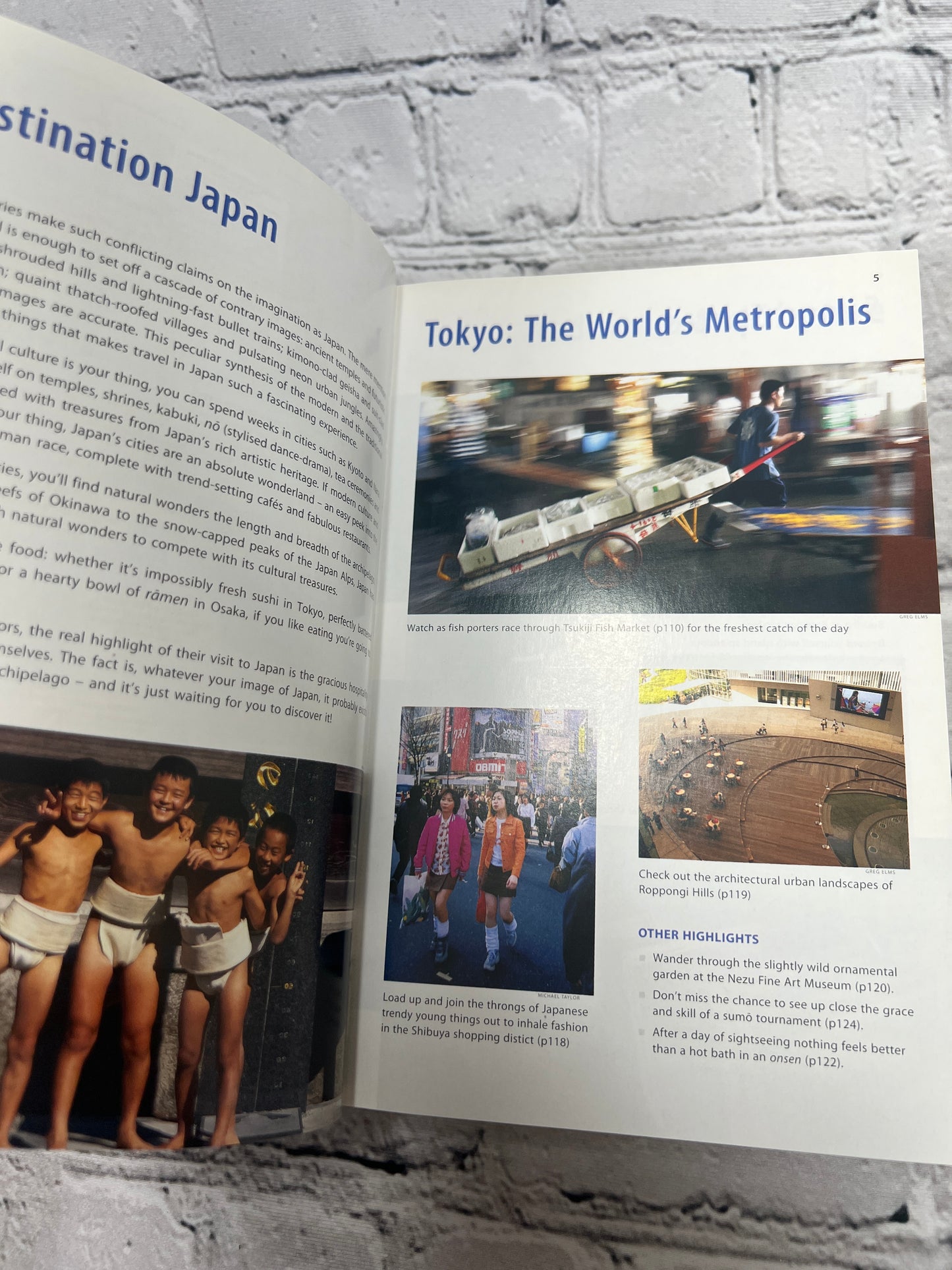 Lonely Planet Japan By Chris Rowthorn, Justin Ellis, et al. [9th Edition · 2005]