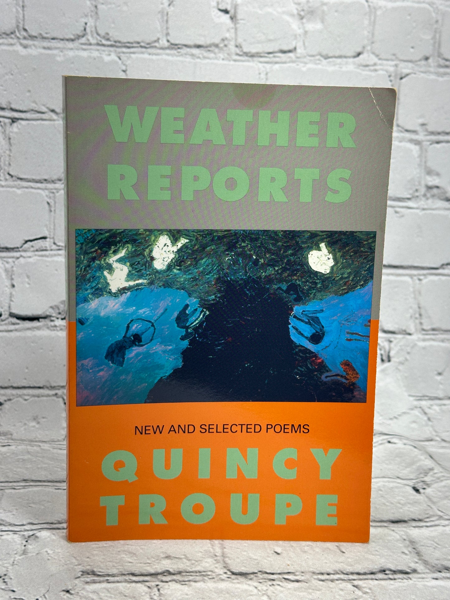 Weather Reports : New and Selected Poems by Quincy Troupe [1991]