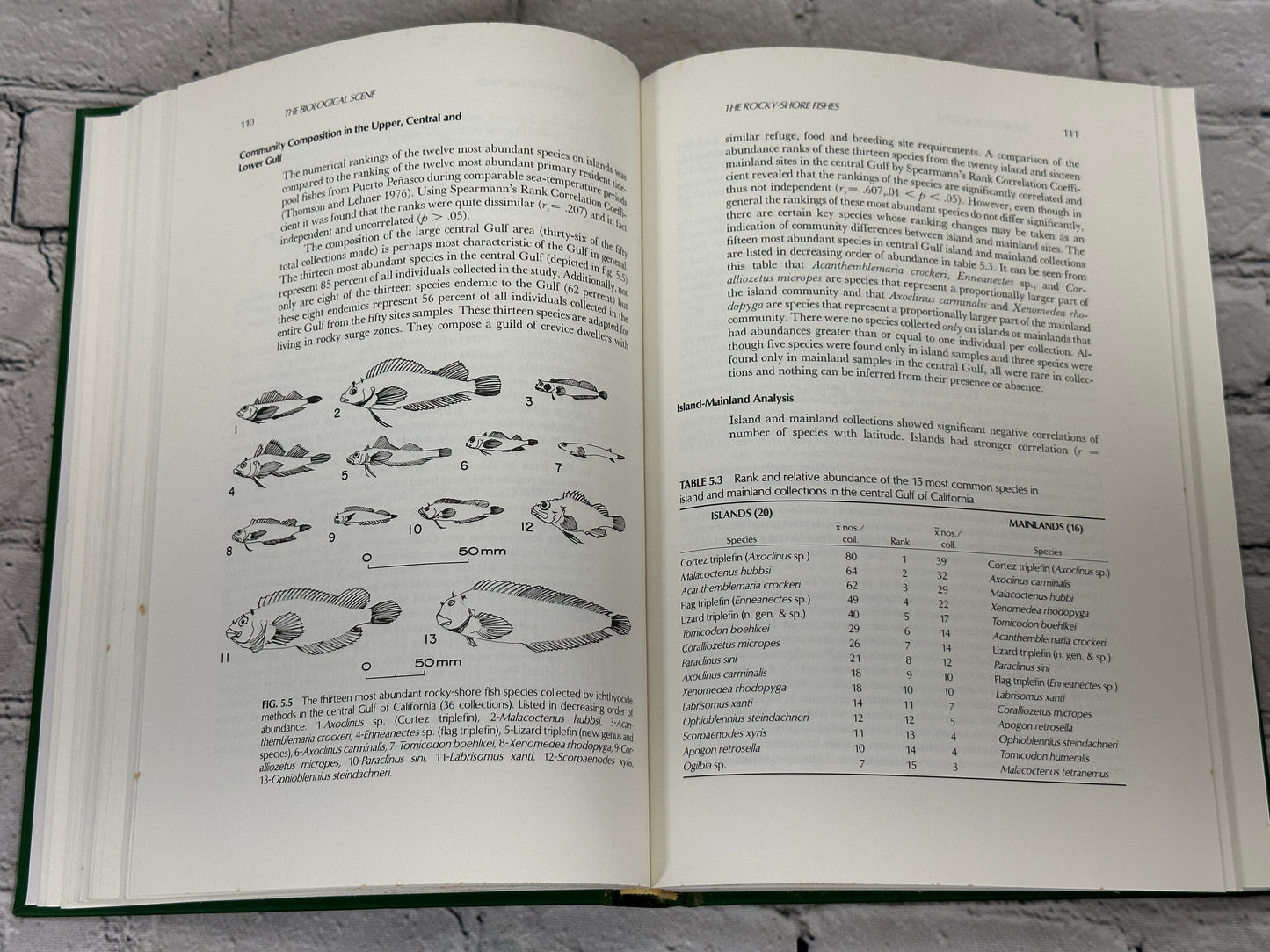 Island Biogeography in the Sea of Cortez by Case/Cody [1983 · First Printing]