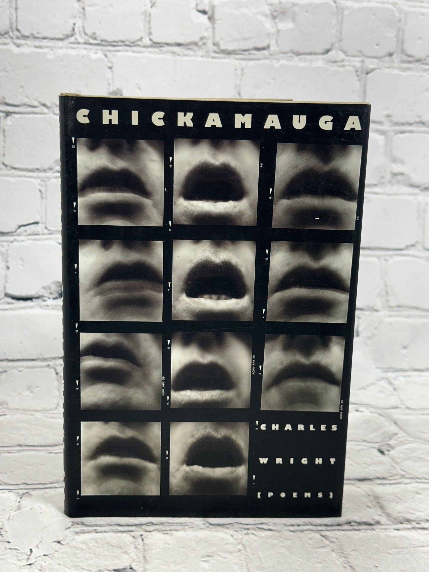 Chickamauga by Charles Wright [First Edition · 1995]