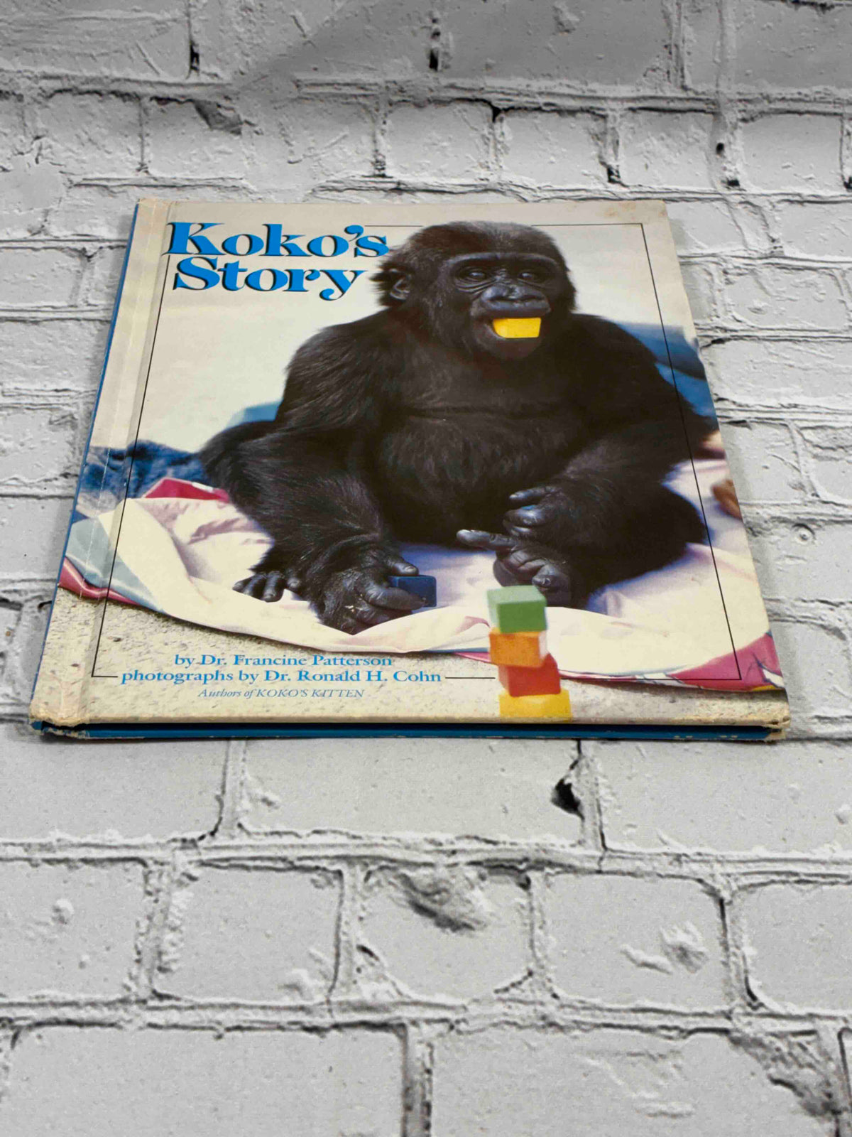 Koko's Story by Francine Patterson, 1987 Scholastic hardcover - front cover corners and edges