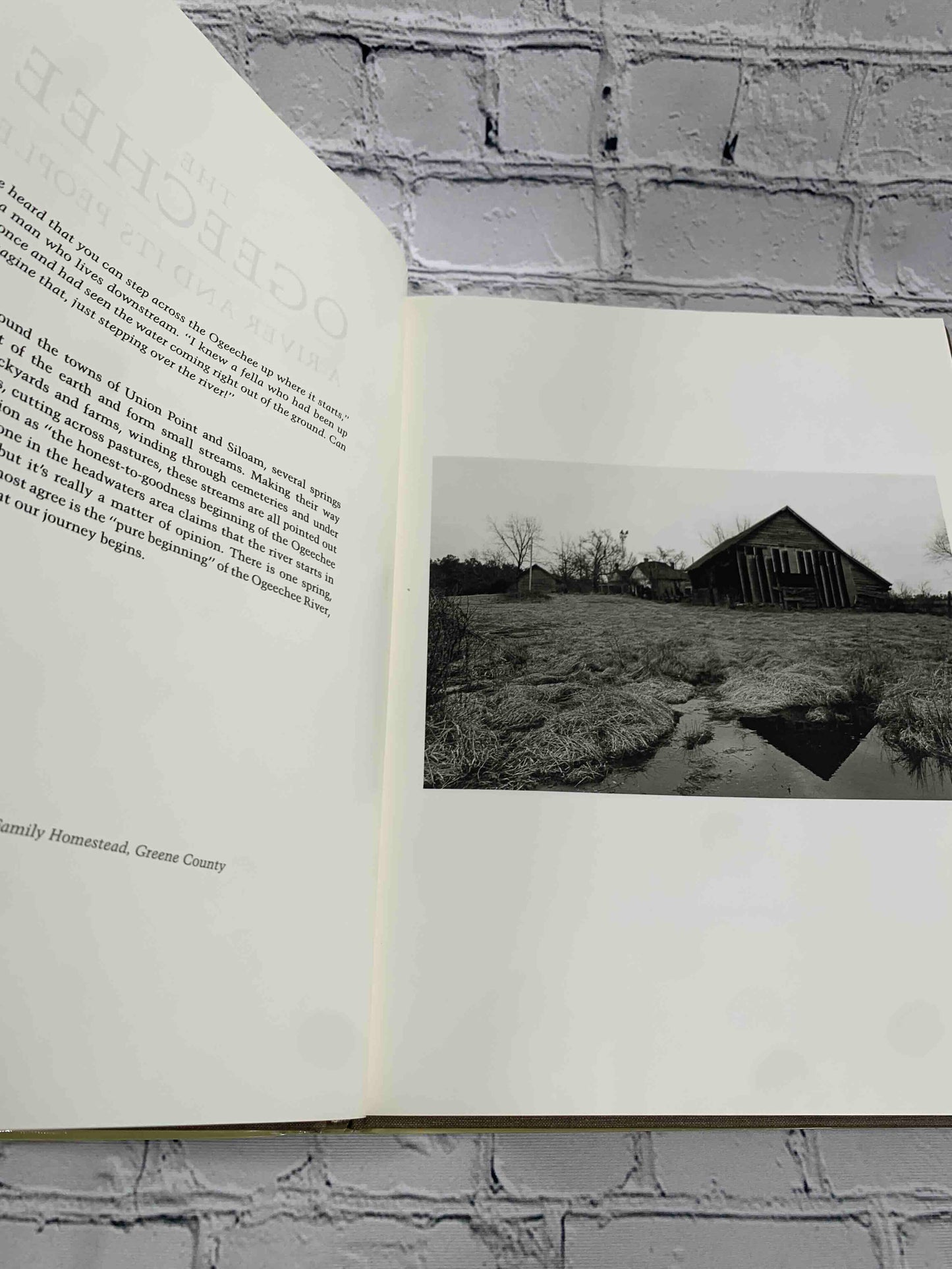 The Ogeechee: A River and Its People
