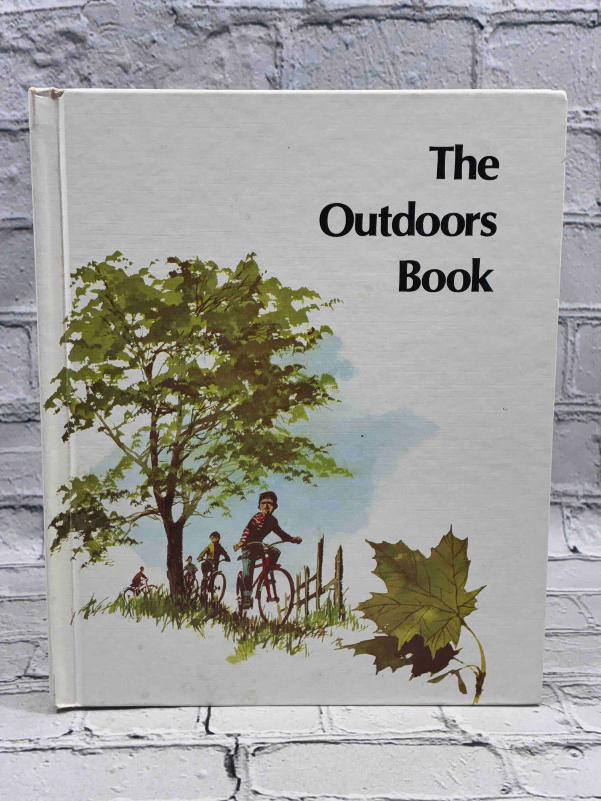The Outdoors Book, Britannica Discovery Library Vol. 10 hardcover - front board