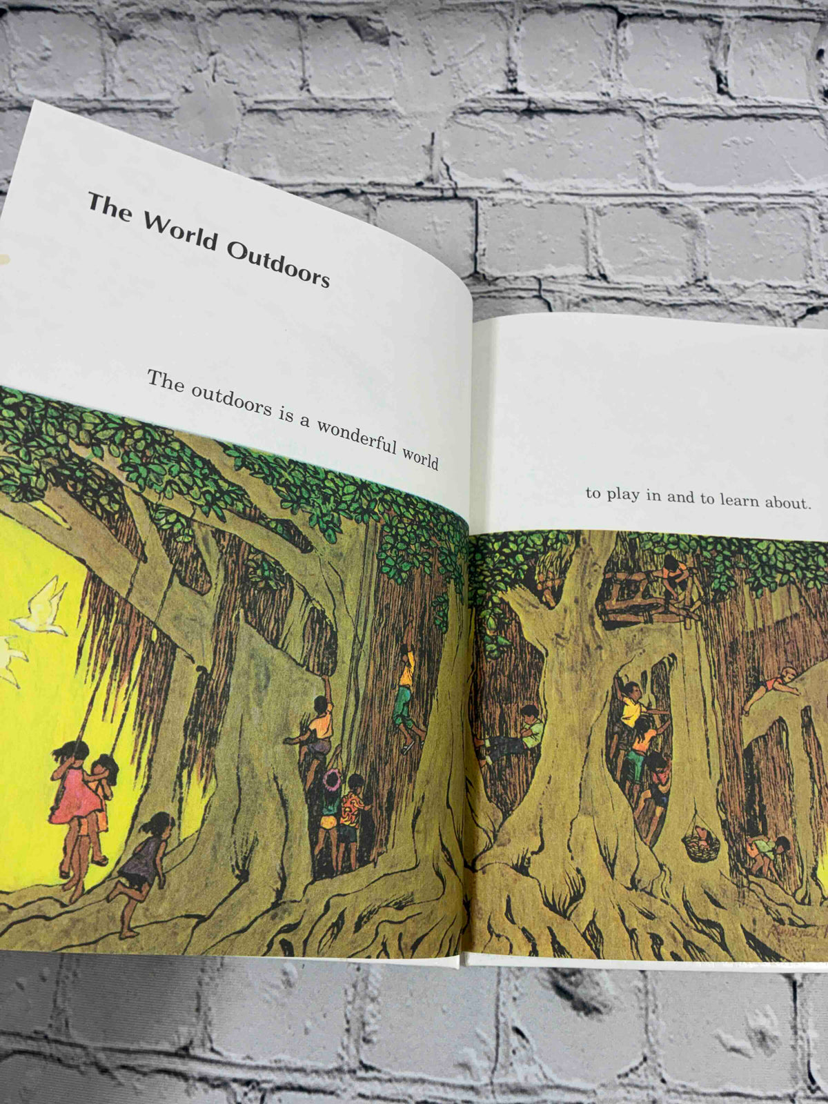 The Outdoors Book, Britannica Discovery Library Vol. 10 hardcover - interior illustration