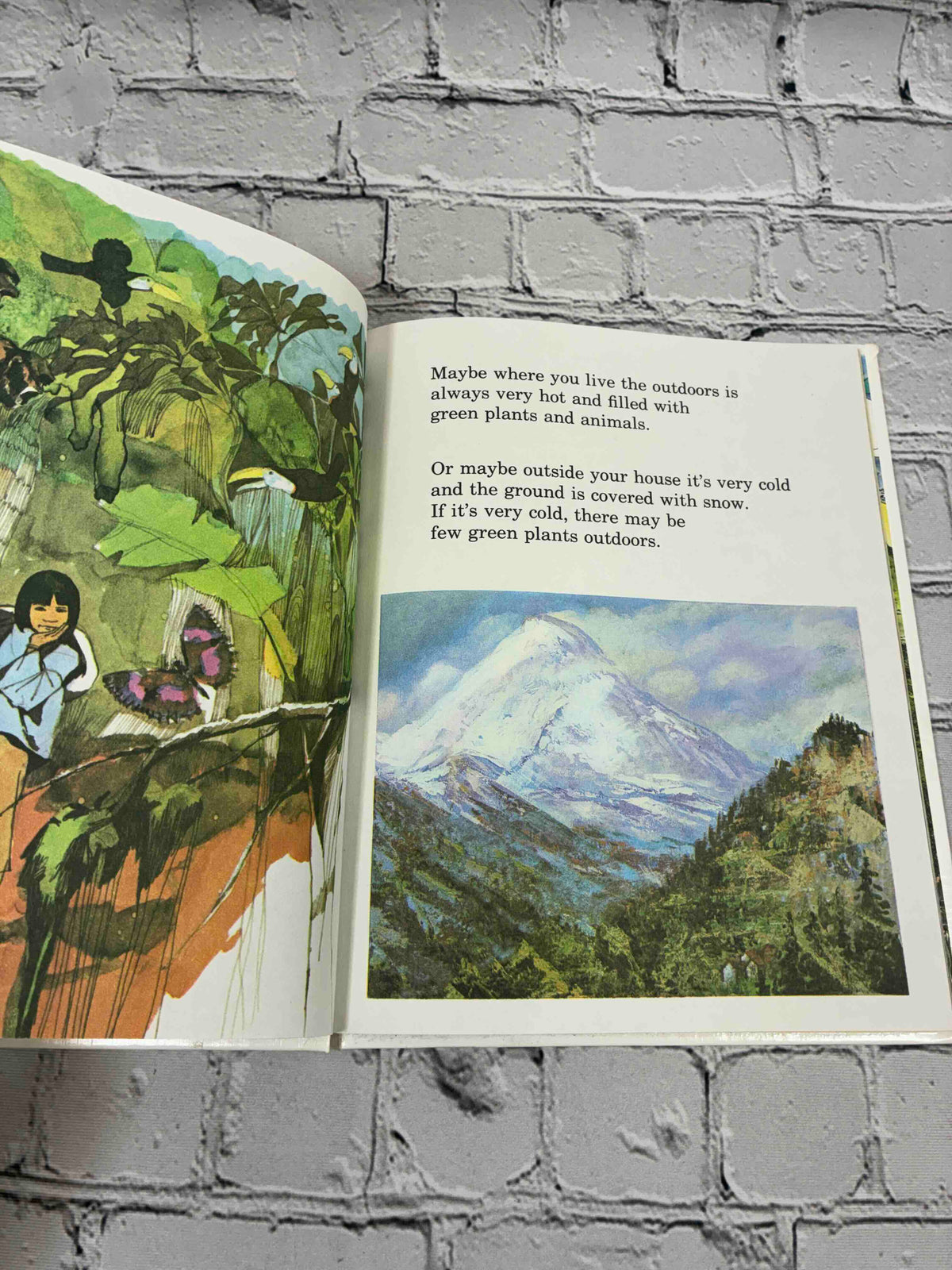 The Outdoors Book, Britannica Discovery Library Vol. 10 hardcover - interior illustration